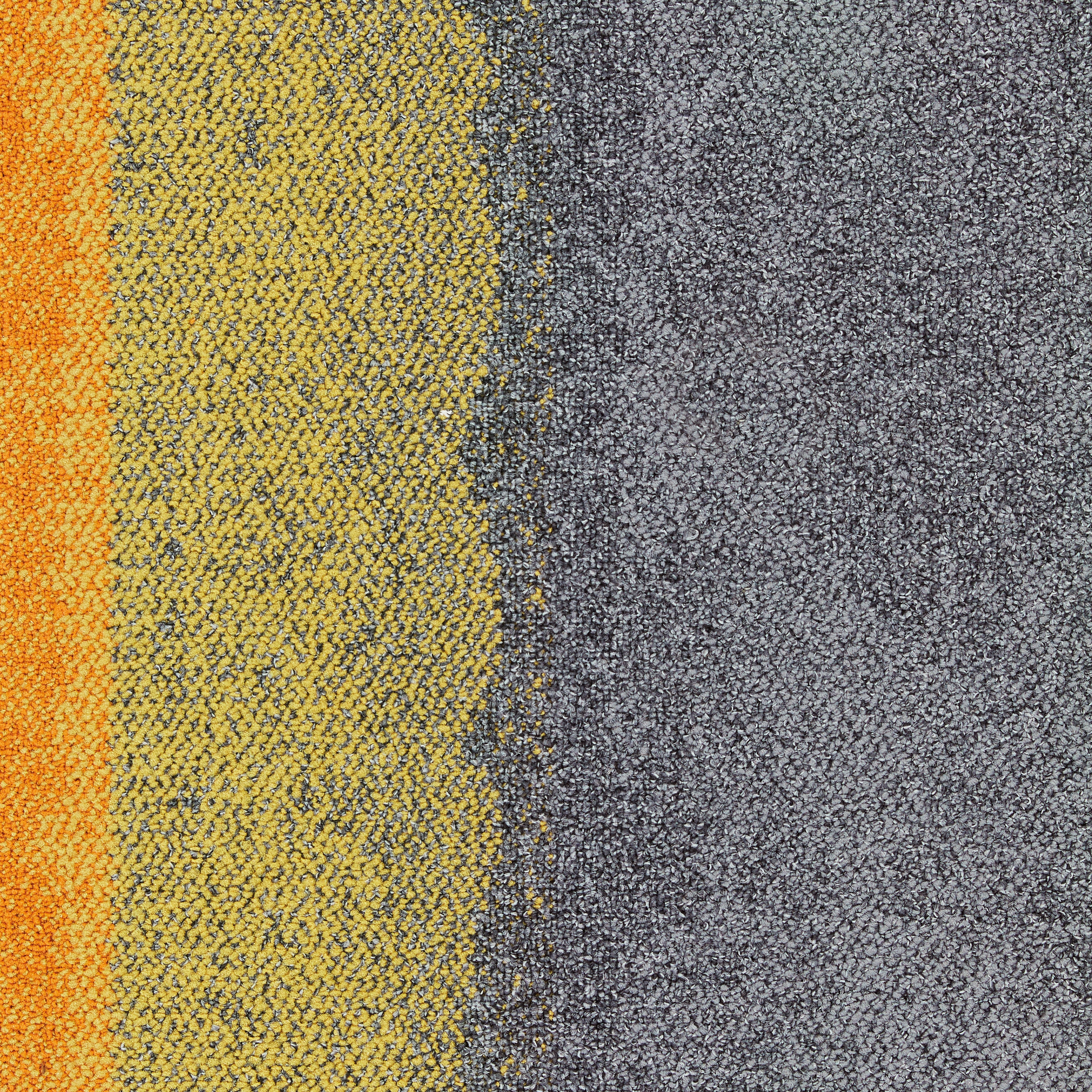Composure Edge Sunburst/Seclusion