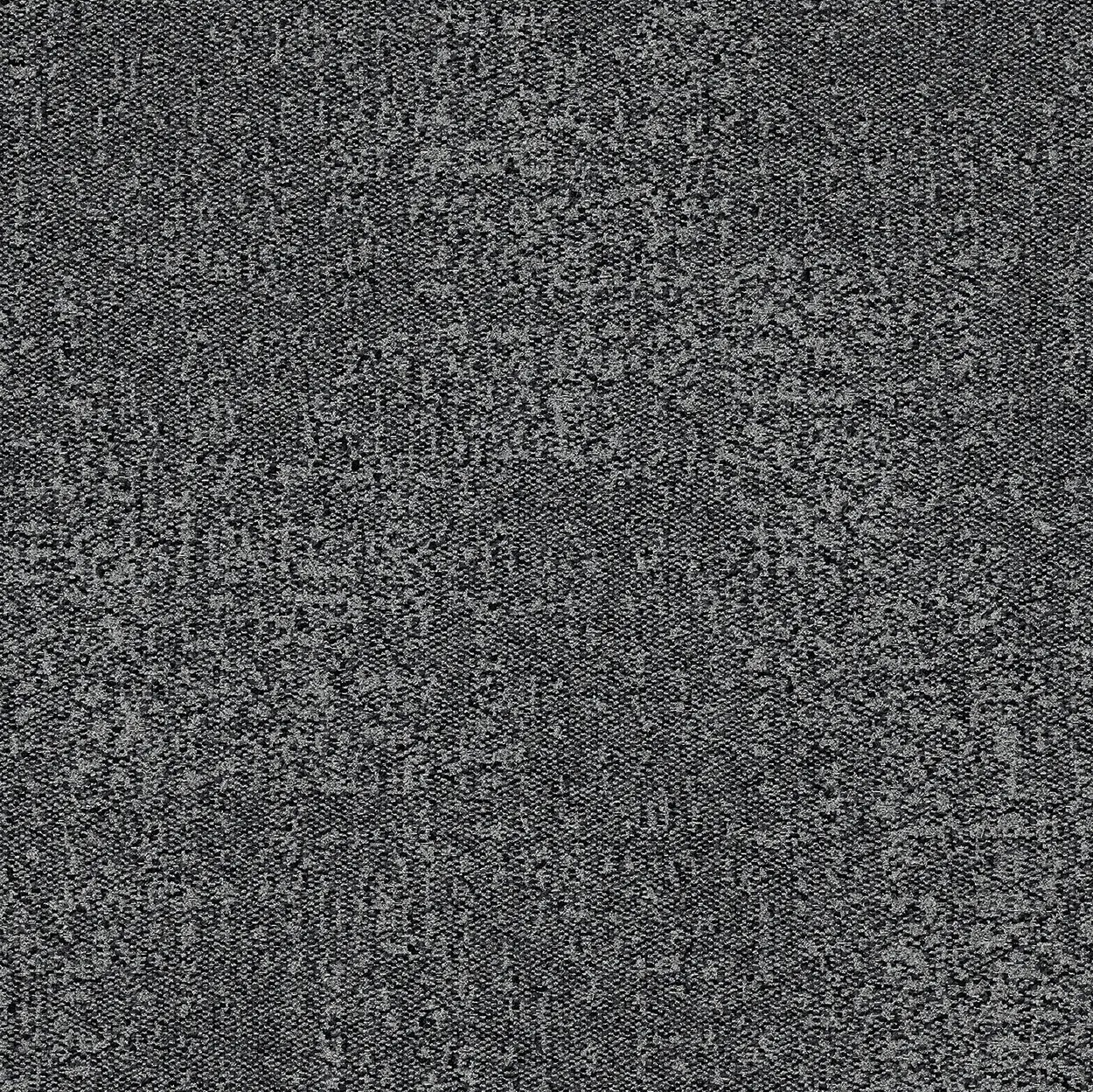 Interface - Step in Time Coal