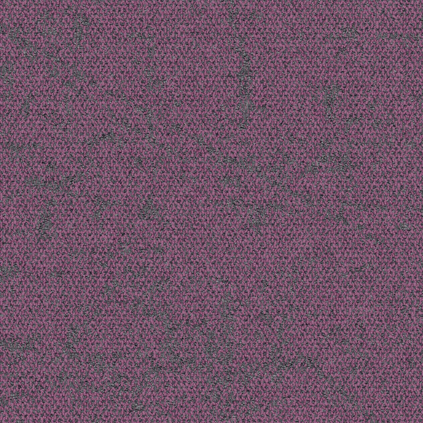 Interface - Ice Breaker Thistle