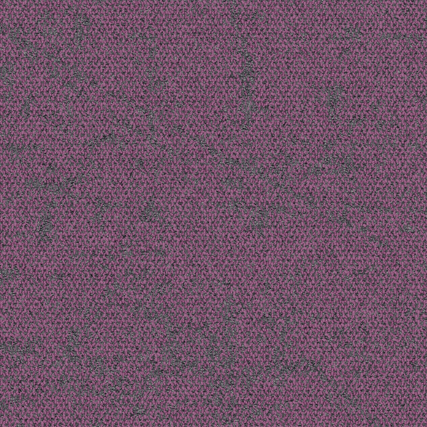 Mostrar el producto Ice Breaker Thistle del fabricante Interface