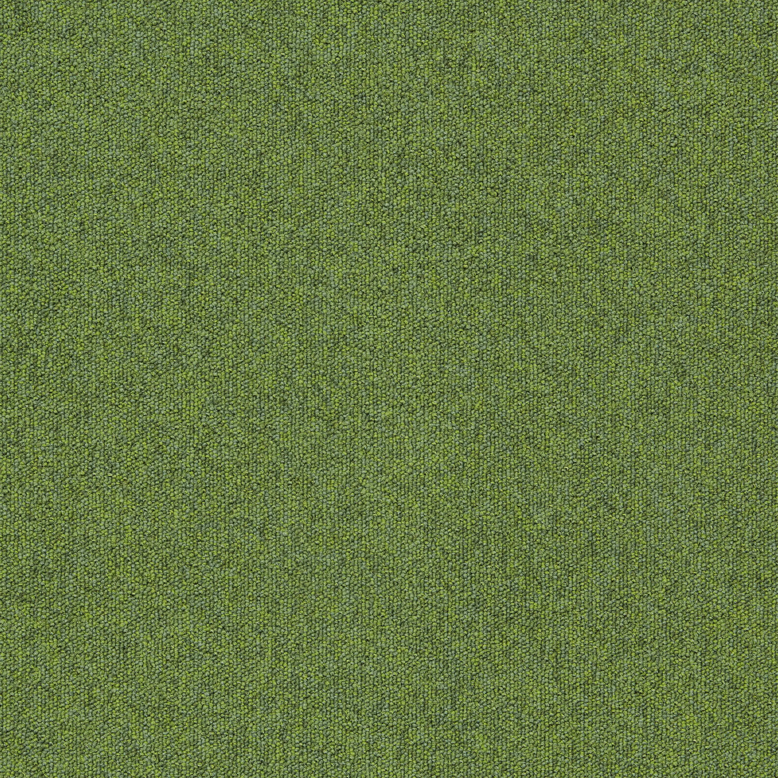 Interface - Heuga 727 4122306 Fern