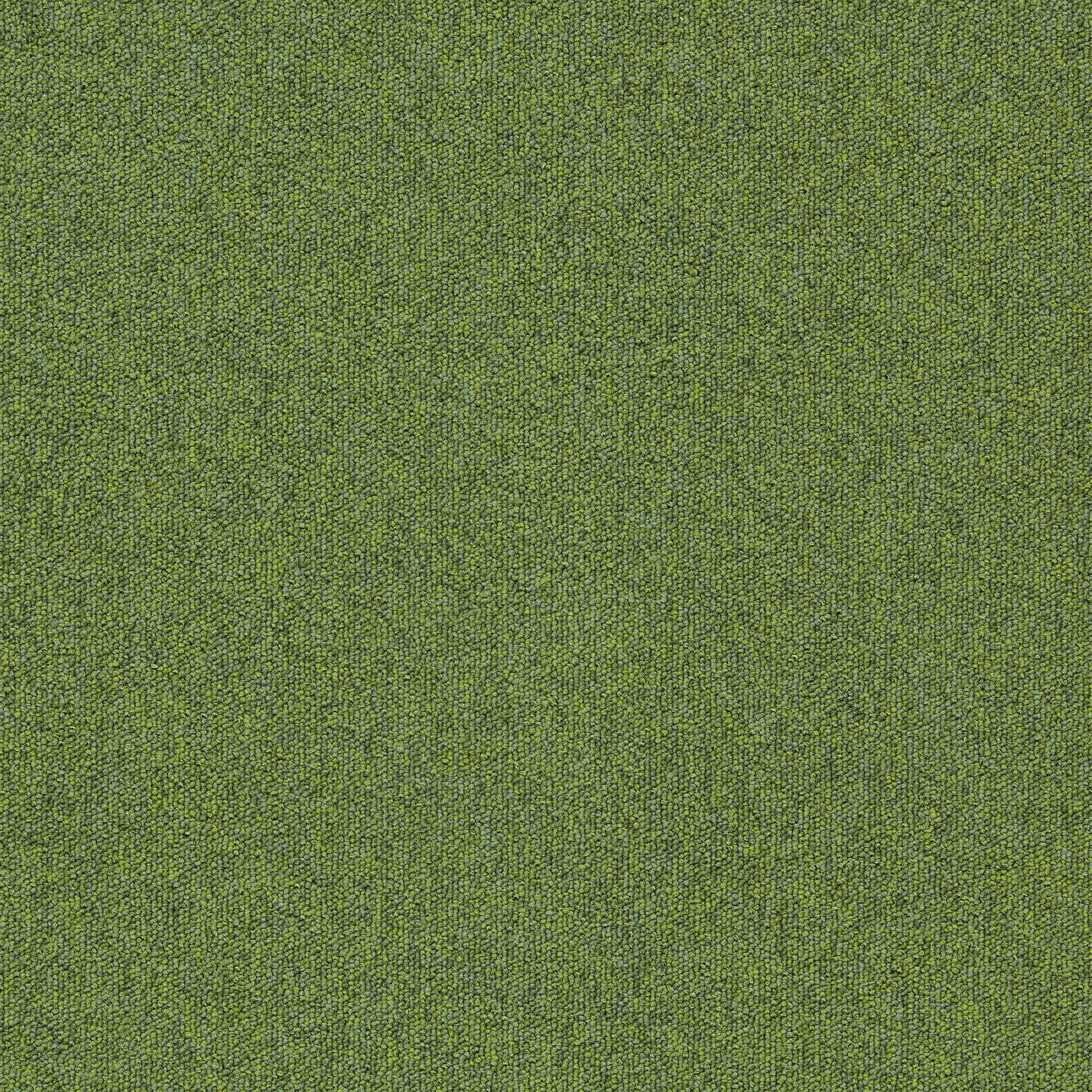 Display product Heuga 727 4122306 Fern from manufacturer Interface