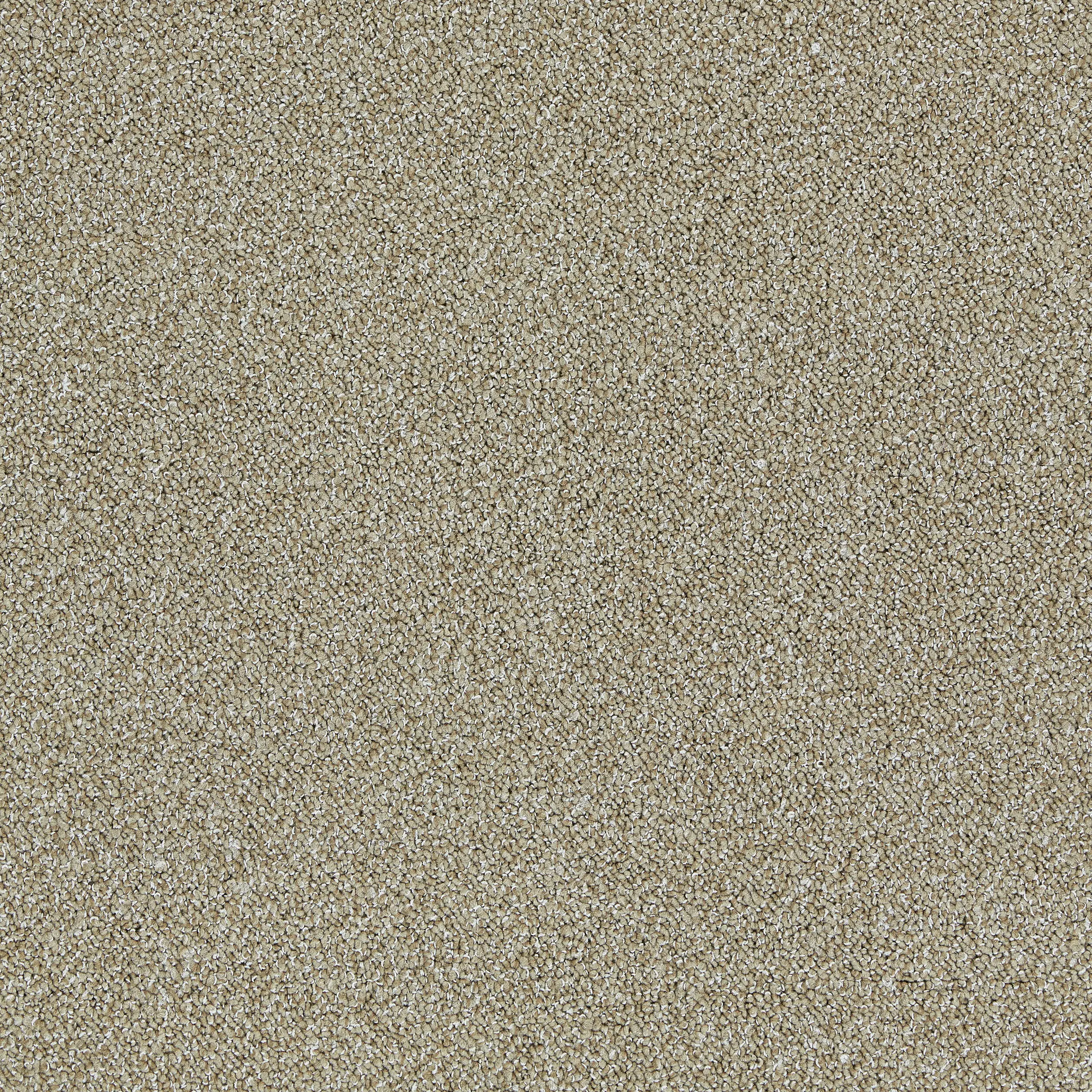 Interface - Touch & Tones II 101 4174062 Biscuit