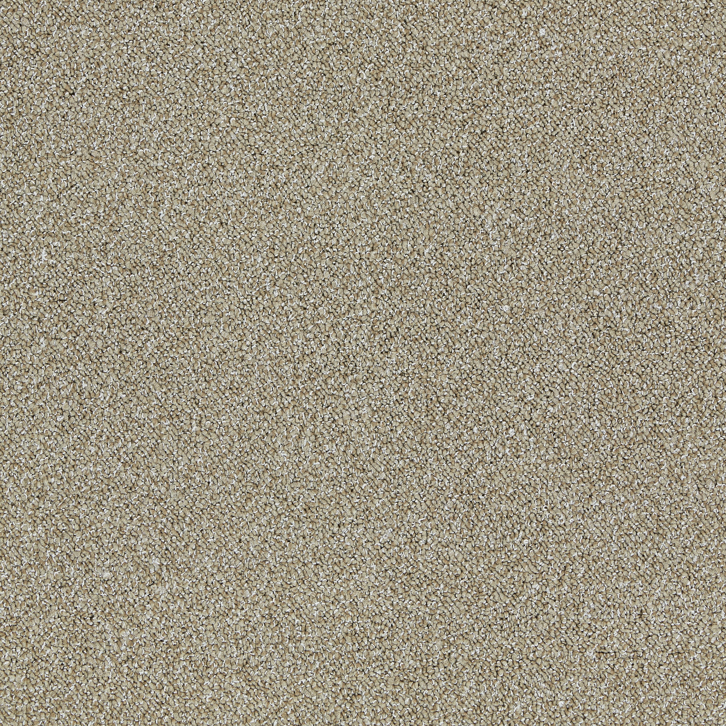 Touch & Tones II 101 4174062 Biscuit