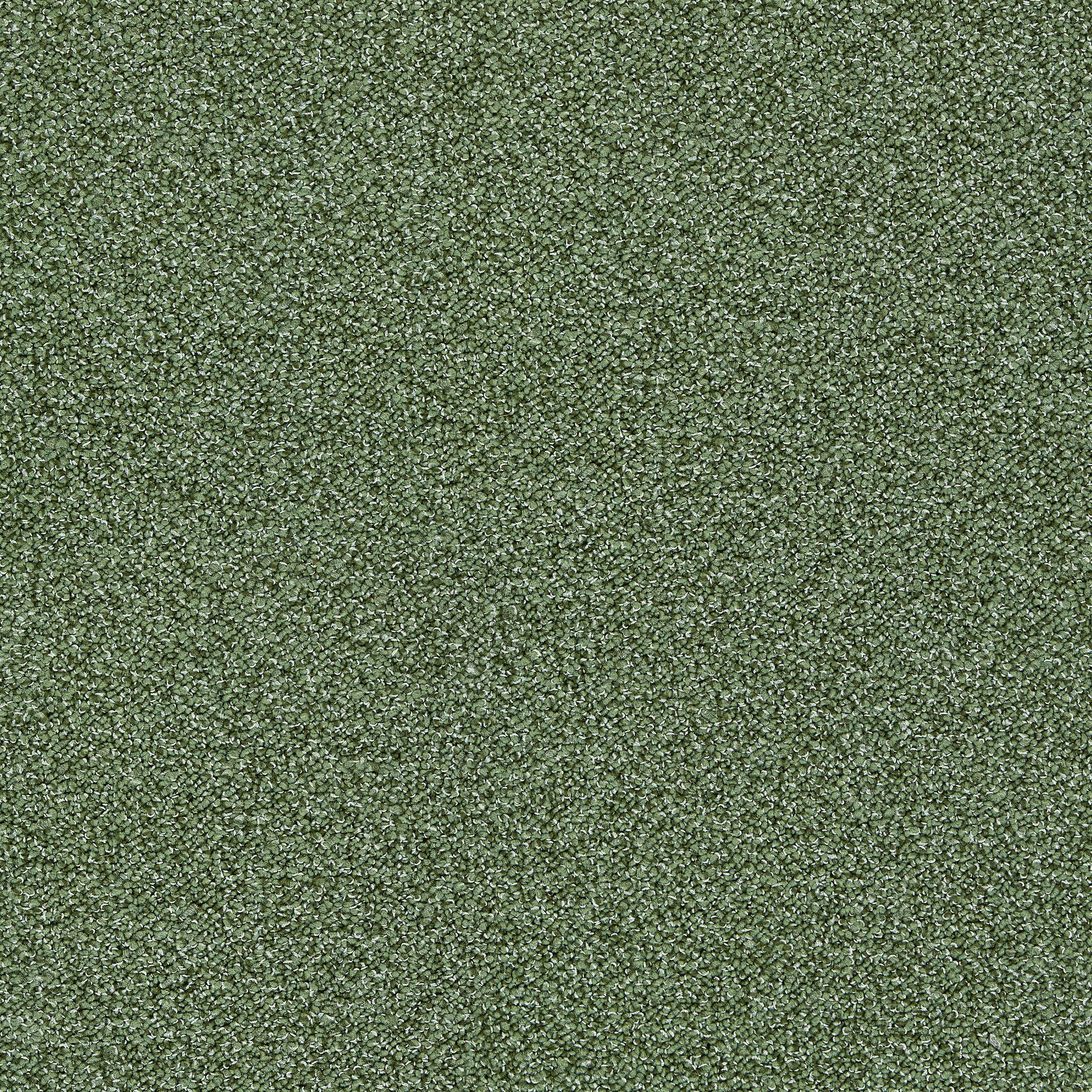Touch & Tones II 101 4174070 Olive