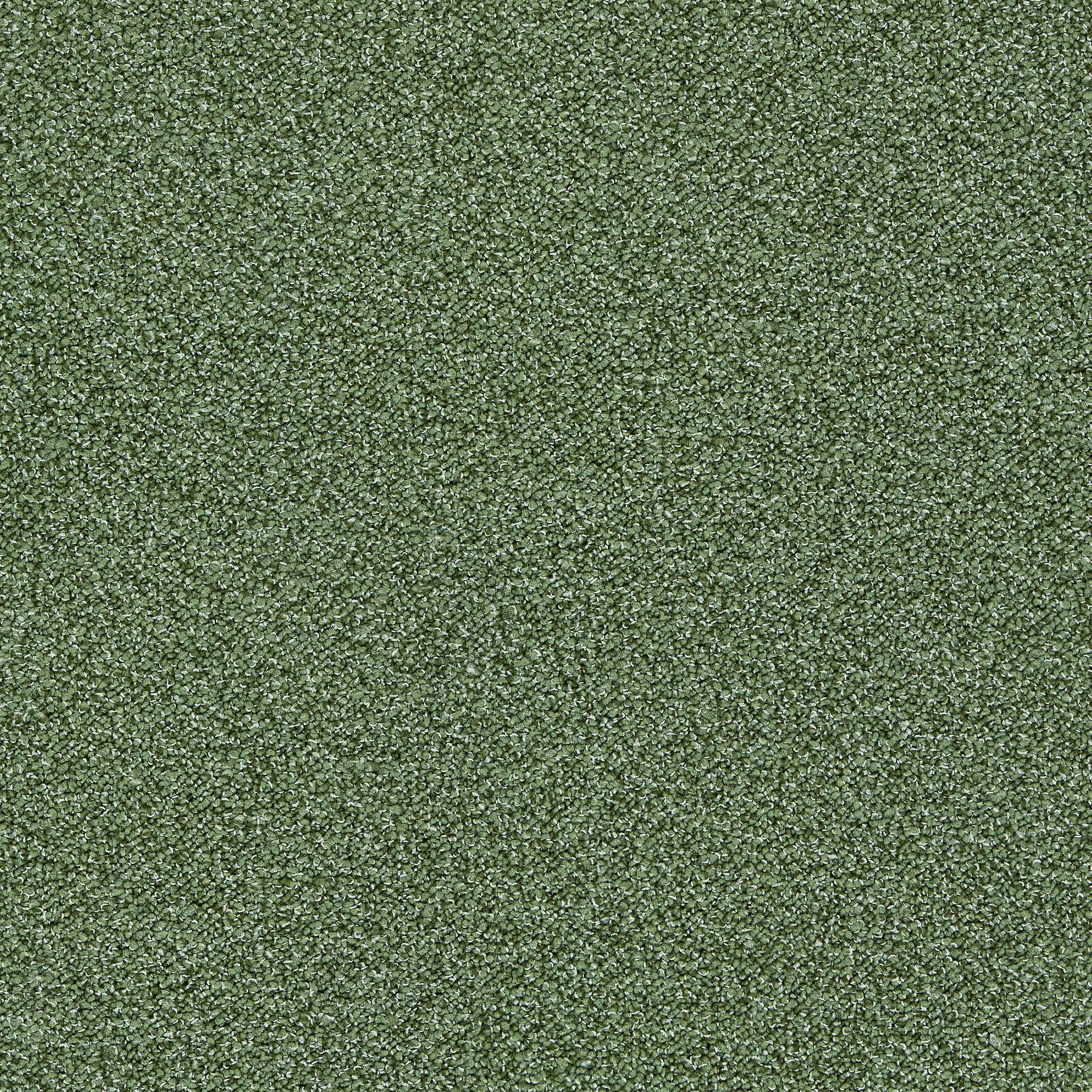 Interface - Touch & Tones II 101 4174070 Olive