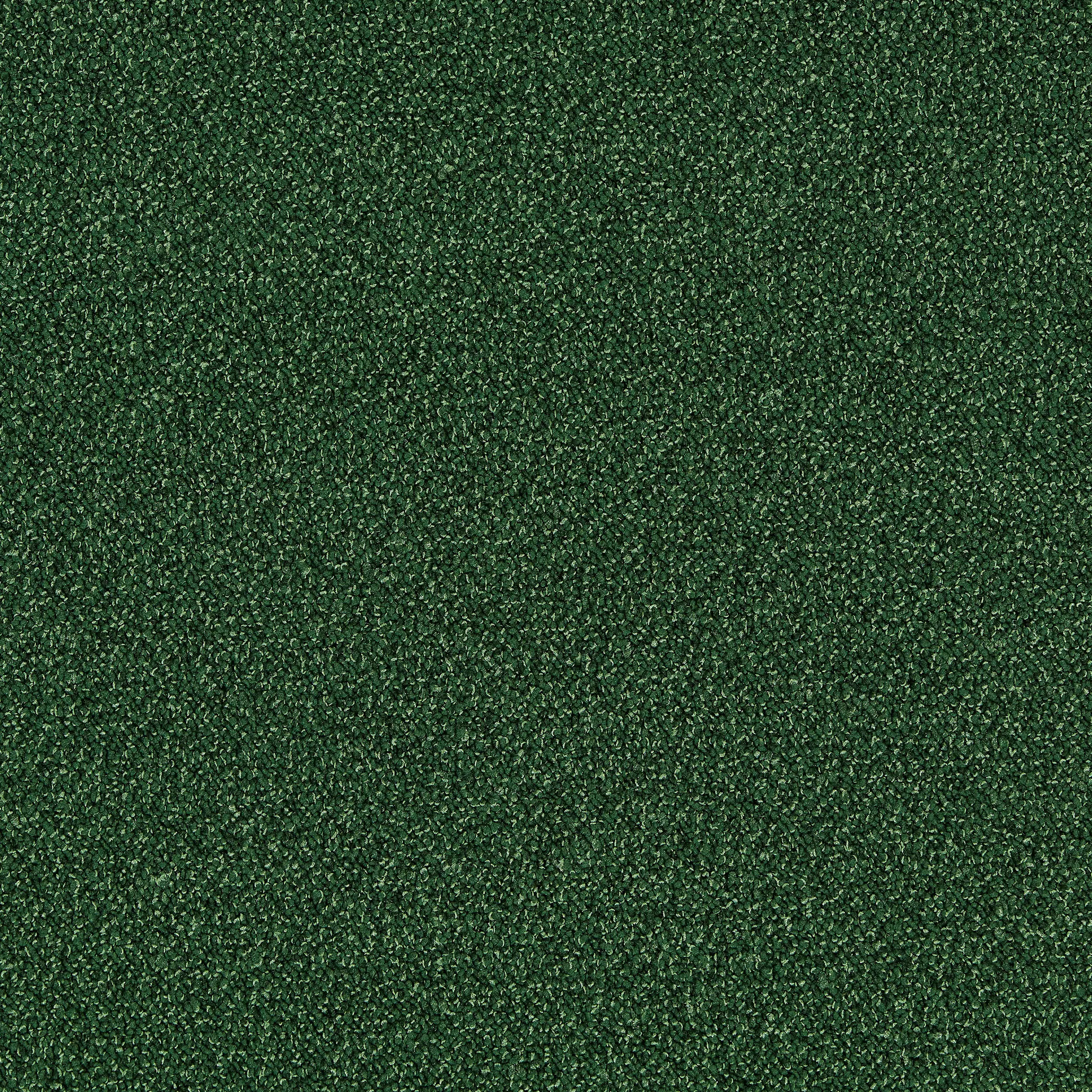 Interface - Touch & Tones II 101 4174071 Forest