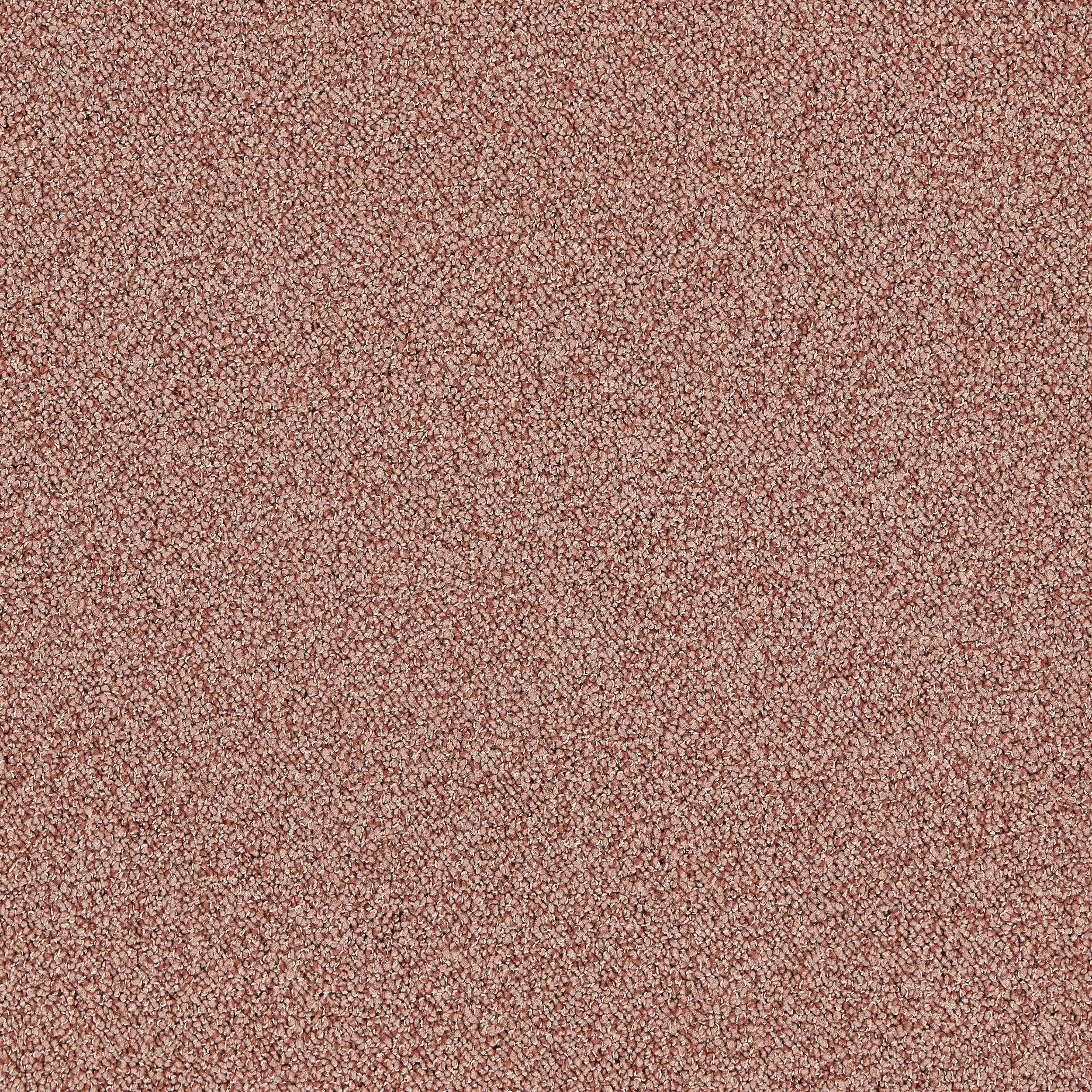 Interface - Touch & Tones II 101 4174074 Blush