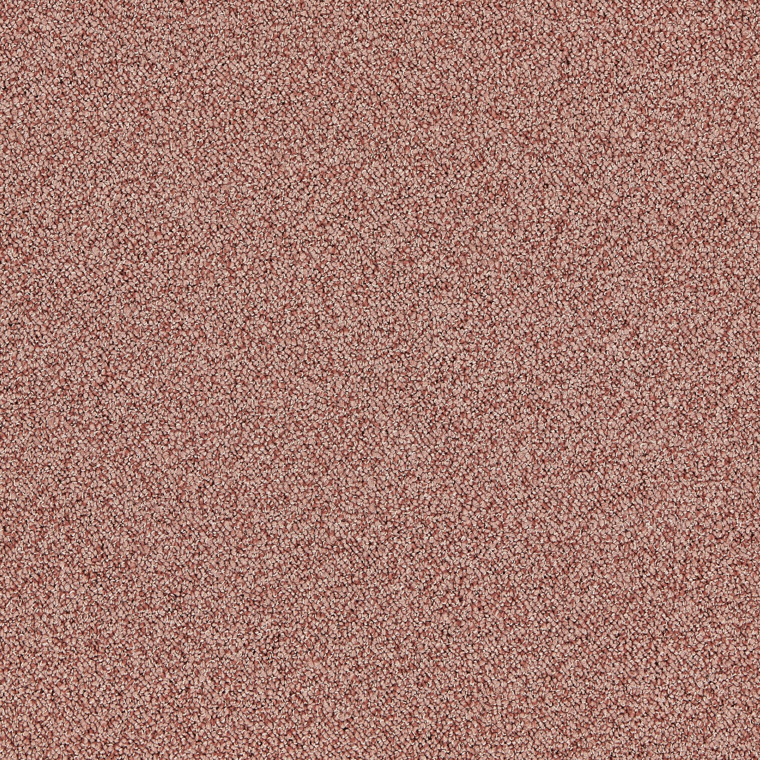 Touch & Tones II 101 4174074 Blush