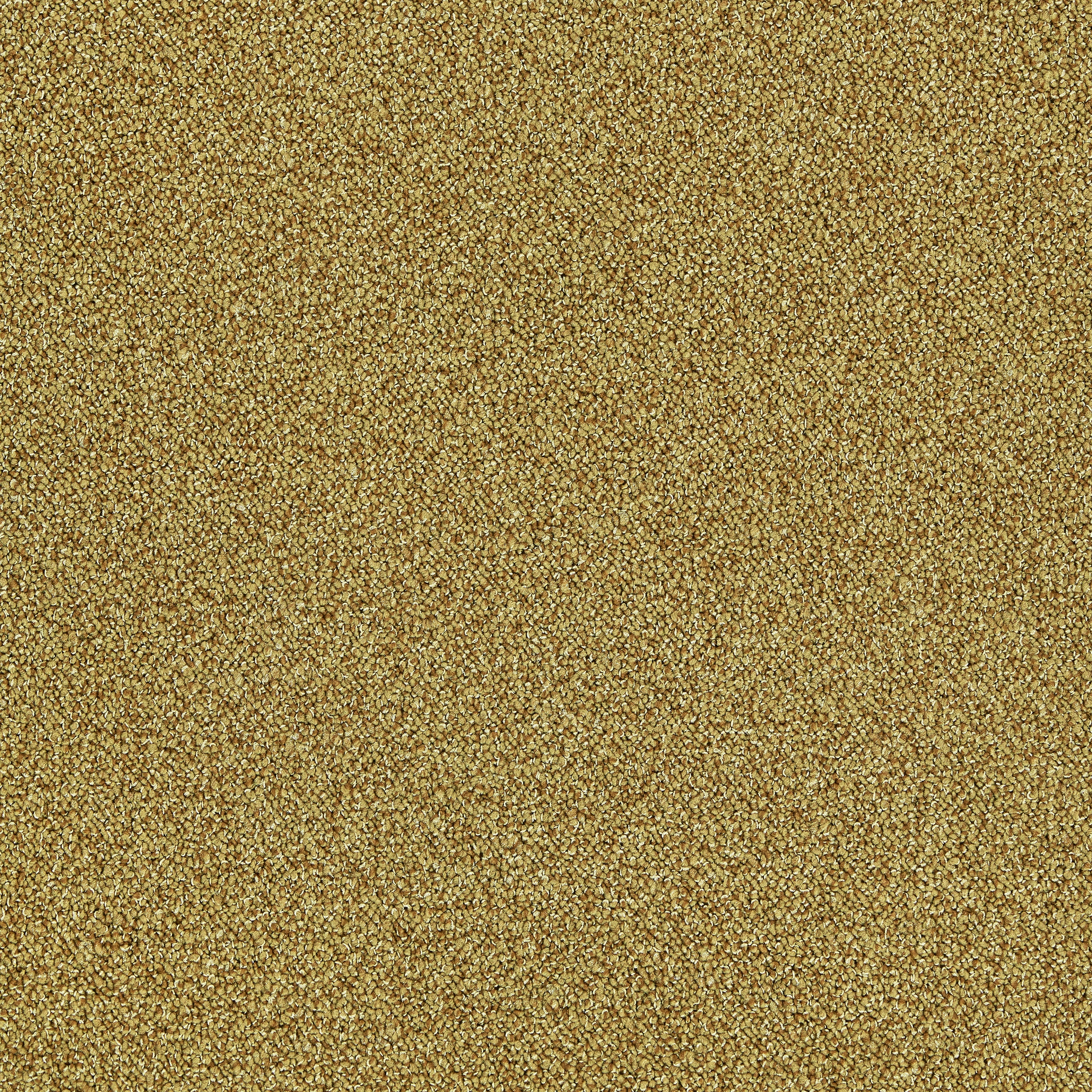 Afficher le produit Touch & Tones II 101 4174075 Gold du fabricant Interface