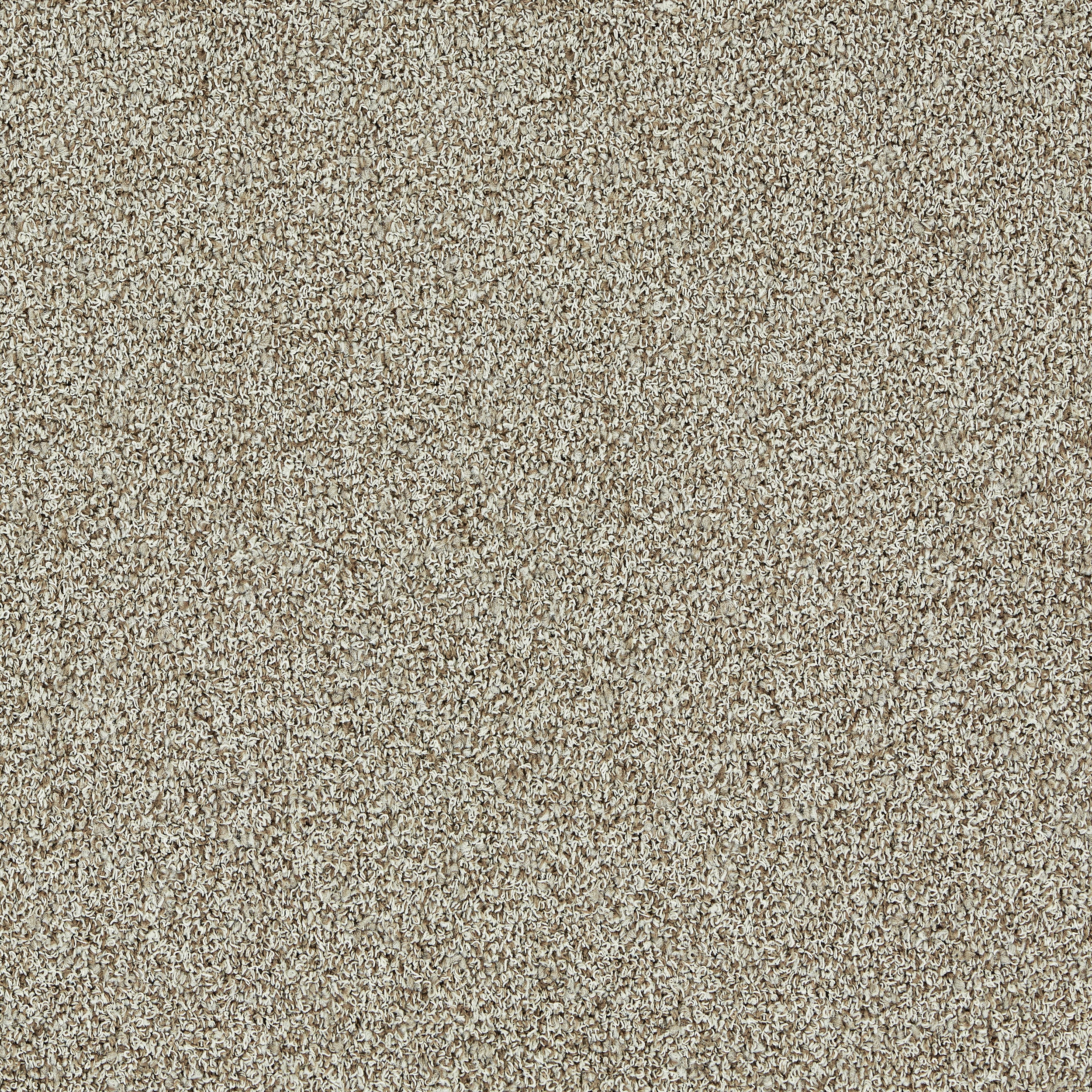 Touch & Tones II 102 4175070 Biscuit