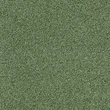 Touch & Tones II 102 4175078 Olive