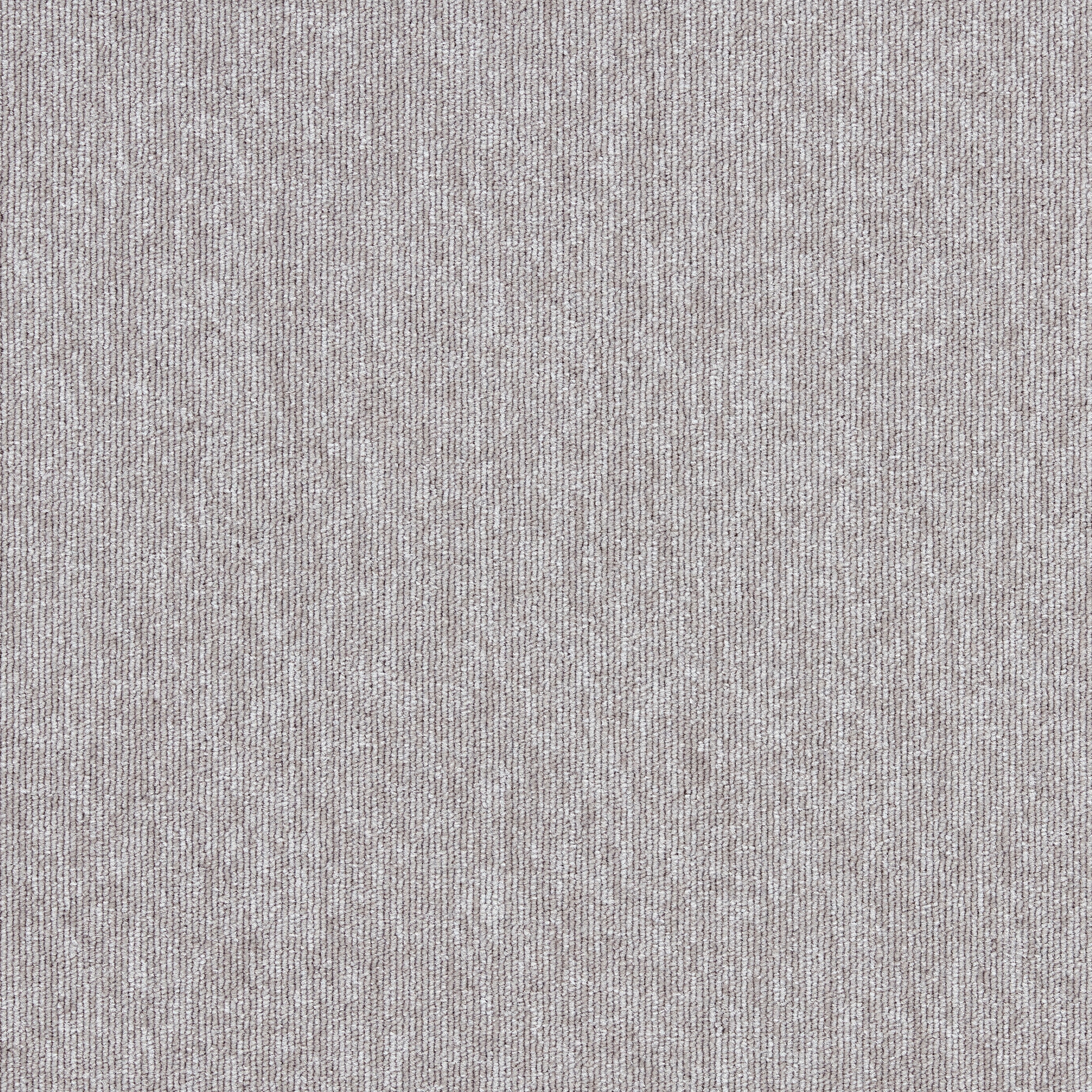 Employ Loop 4197025 Cotton