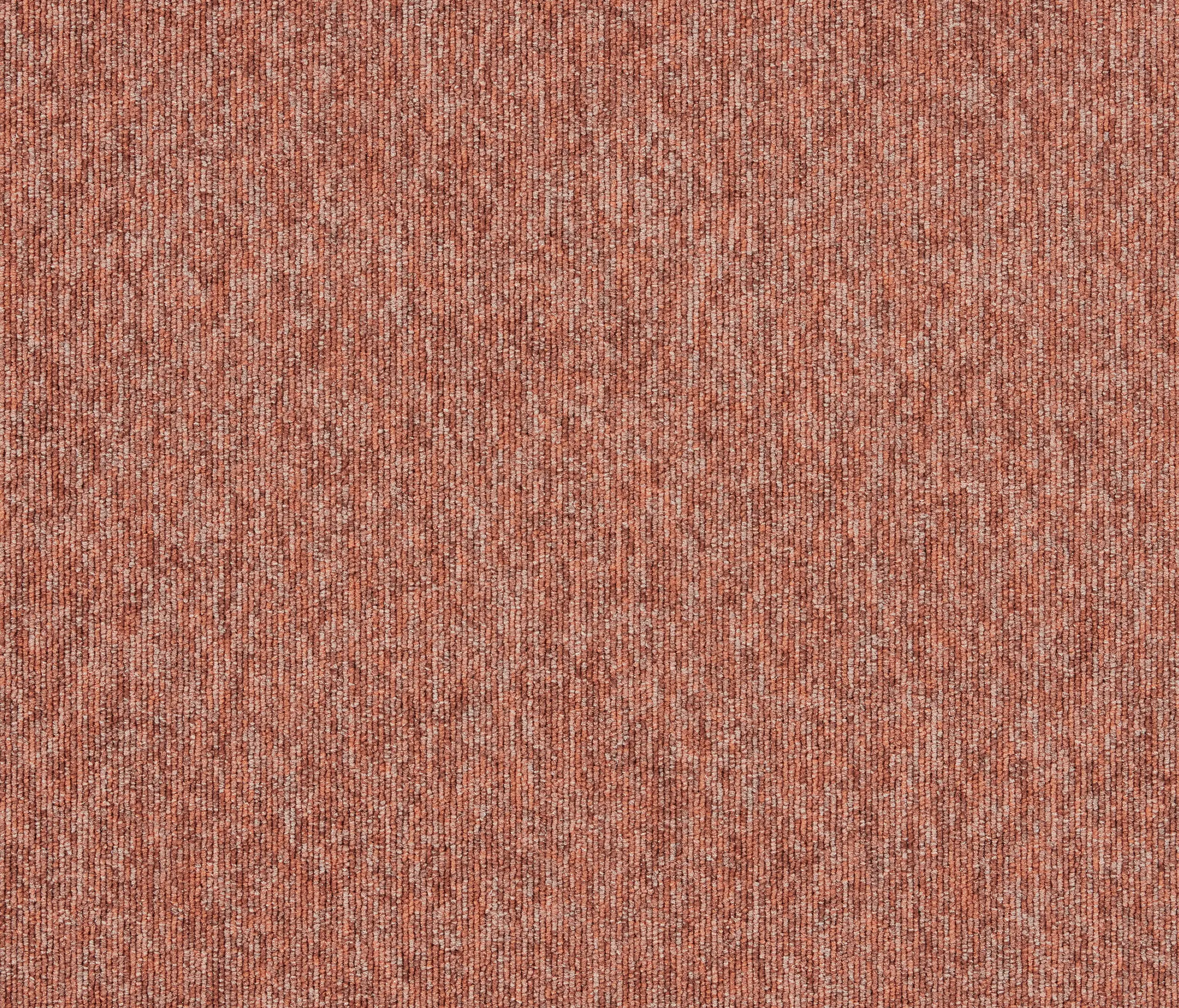 Interface - Employ Loop 4197032 Autumn