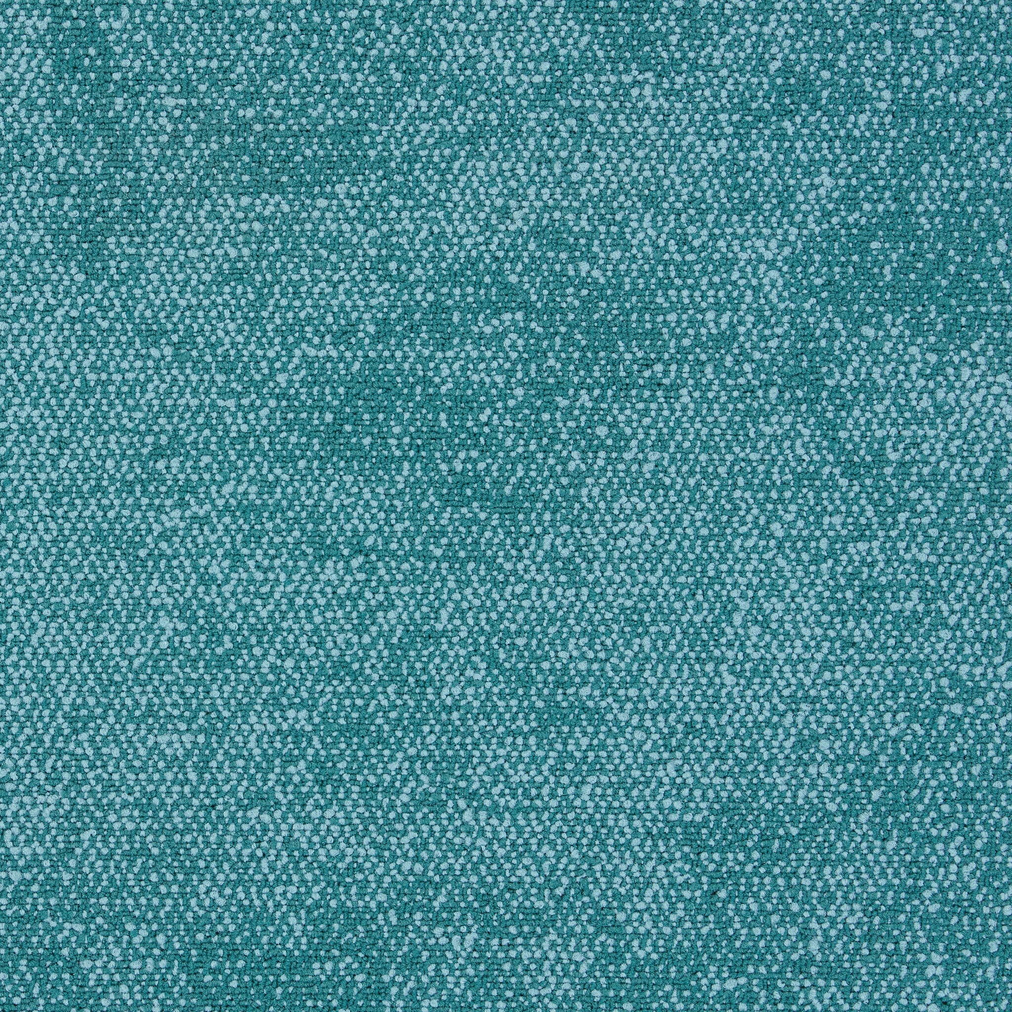 Recreation 4313013 Develop