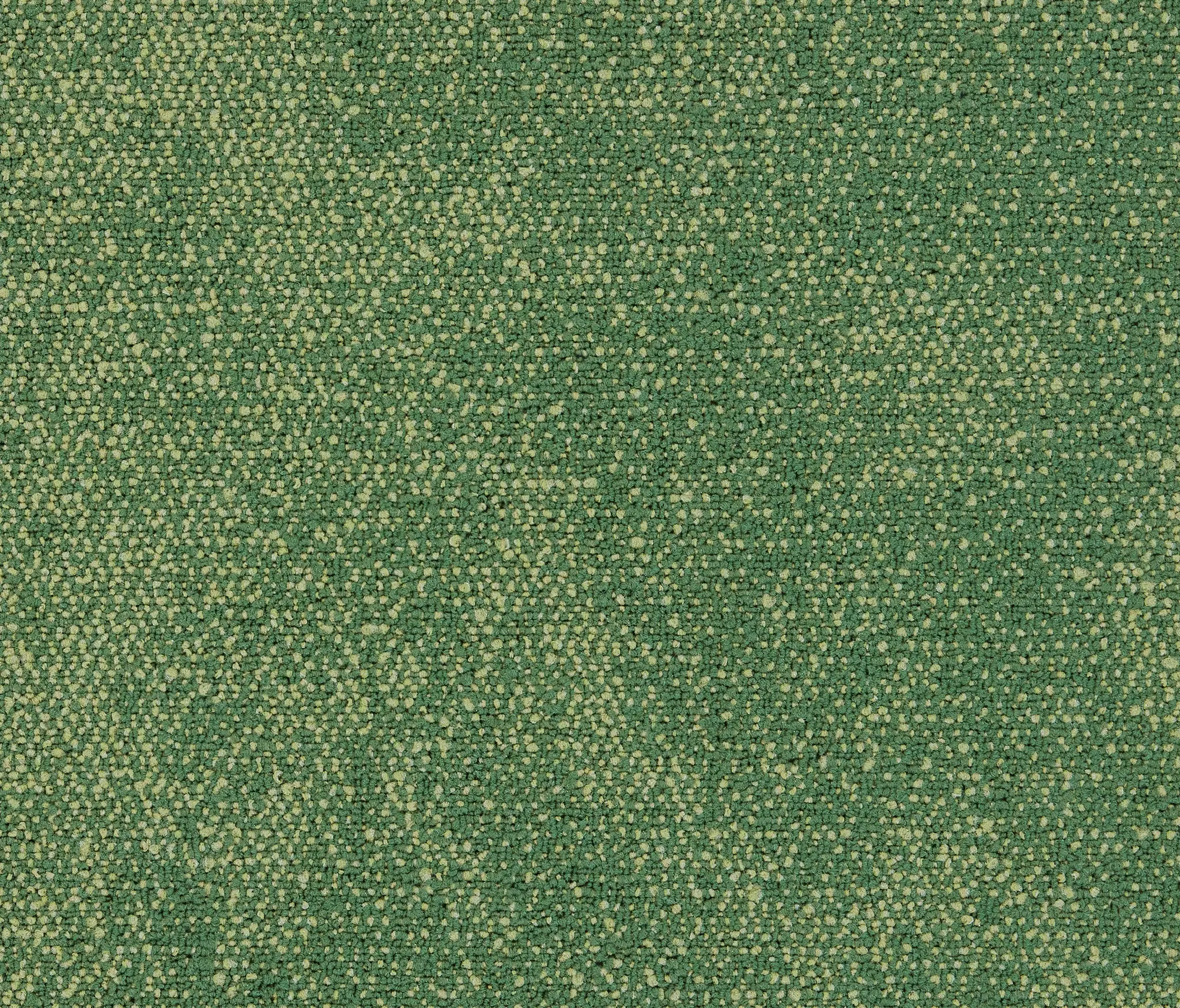Interface - Recreation 4313014 Express