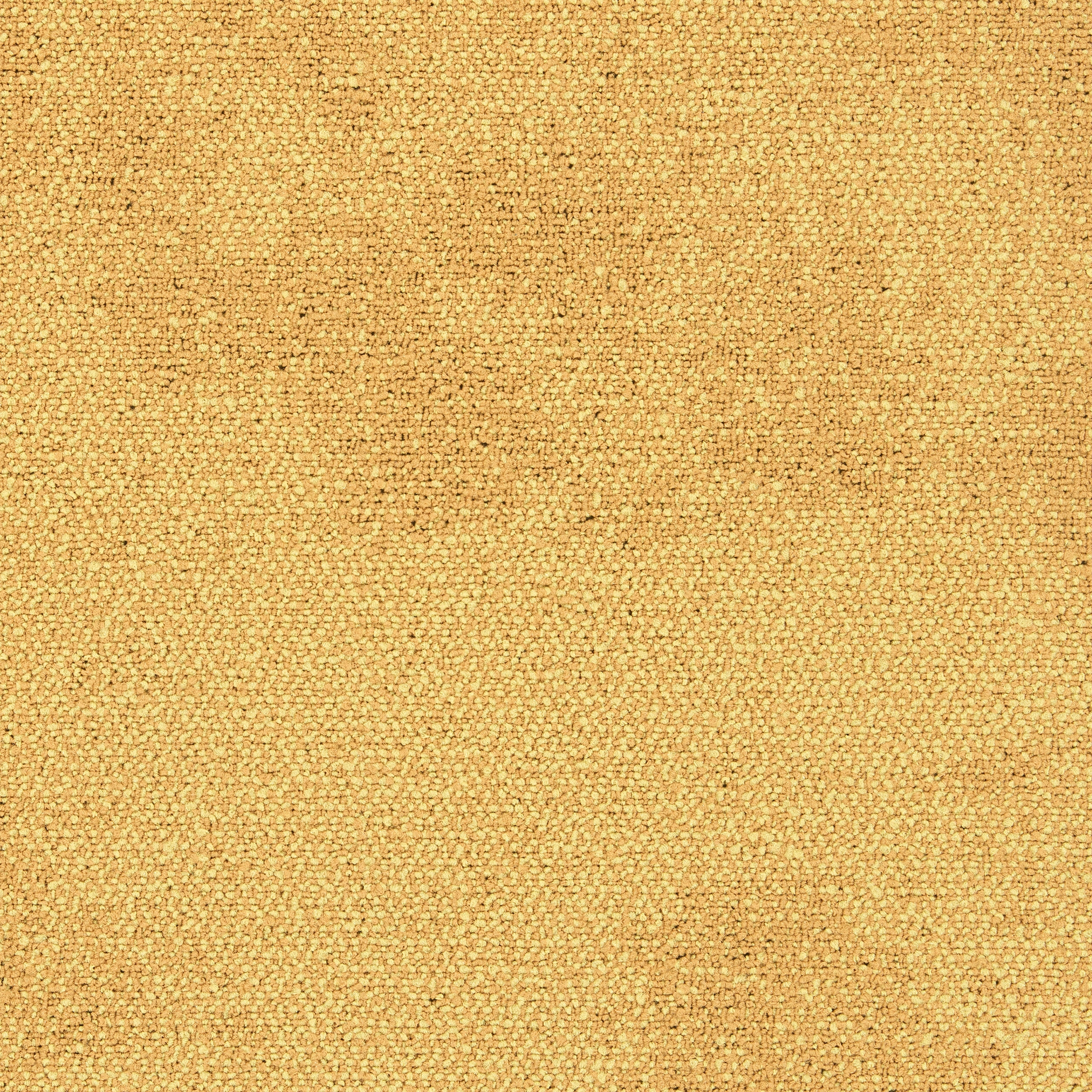 Display product Recreation 4313015 Talent from manufacturer Interface