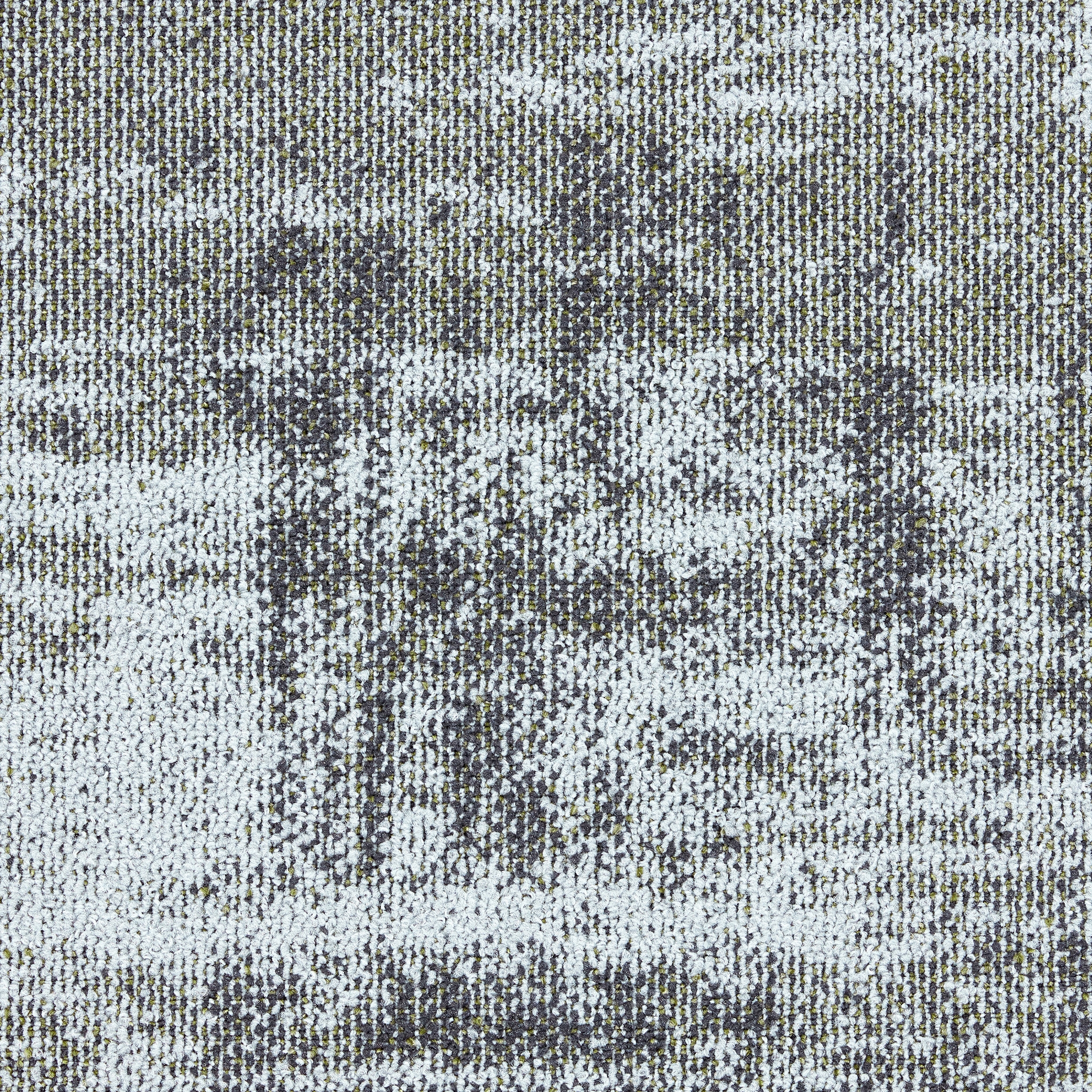 Works Effect 4311002 Cactus