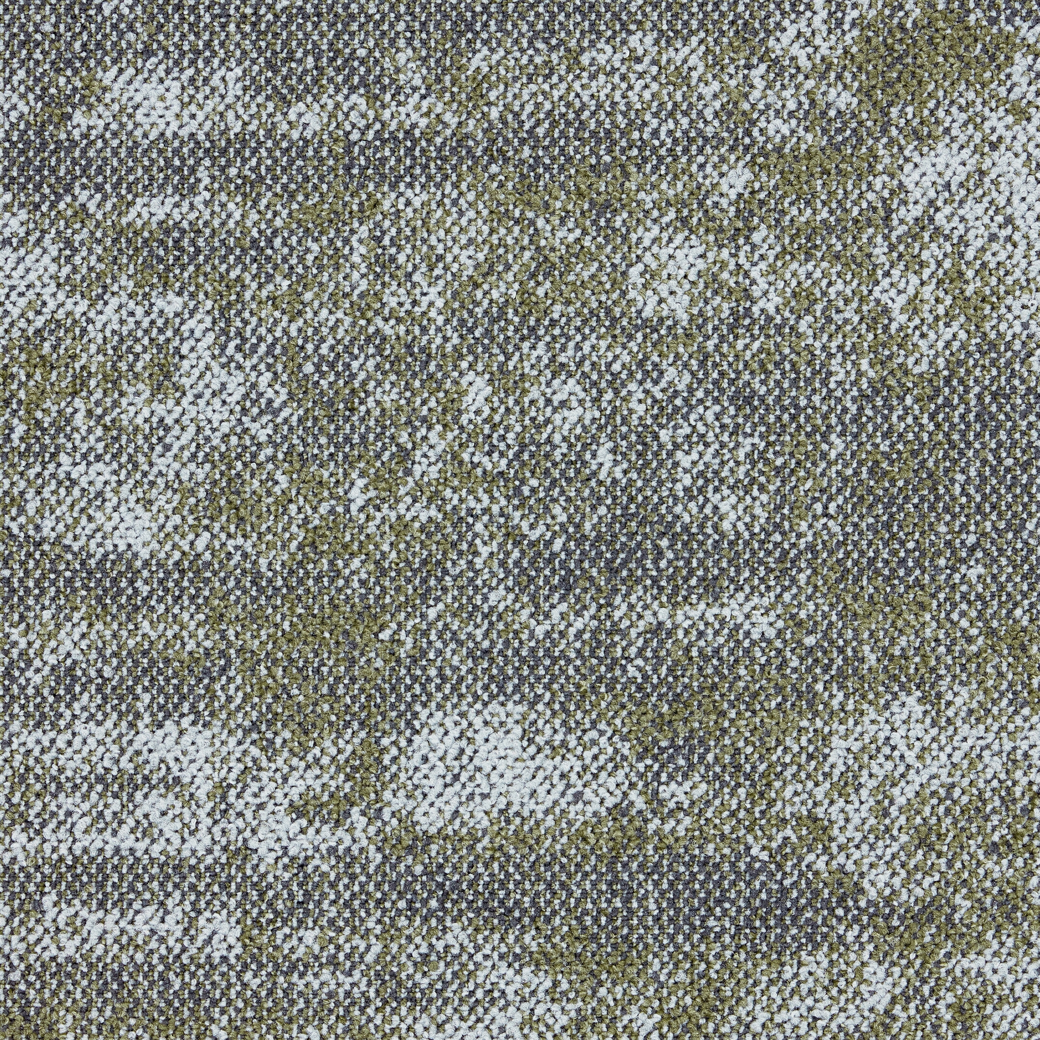 Works Sense 4312002 Cactus