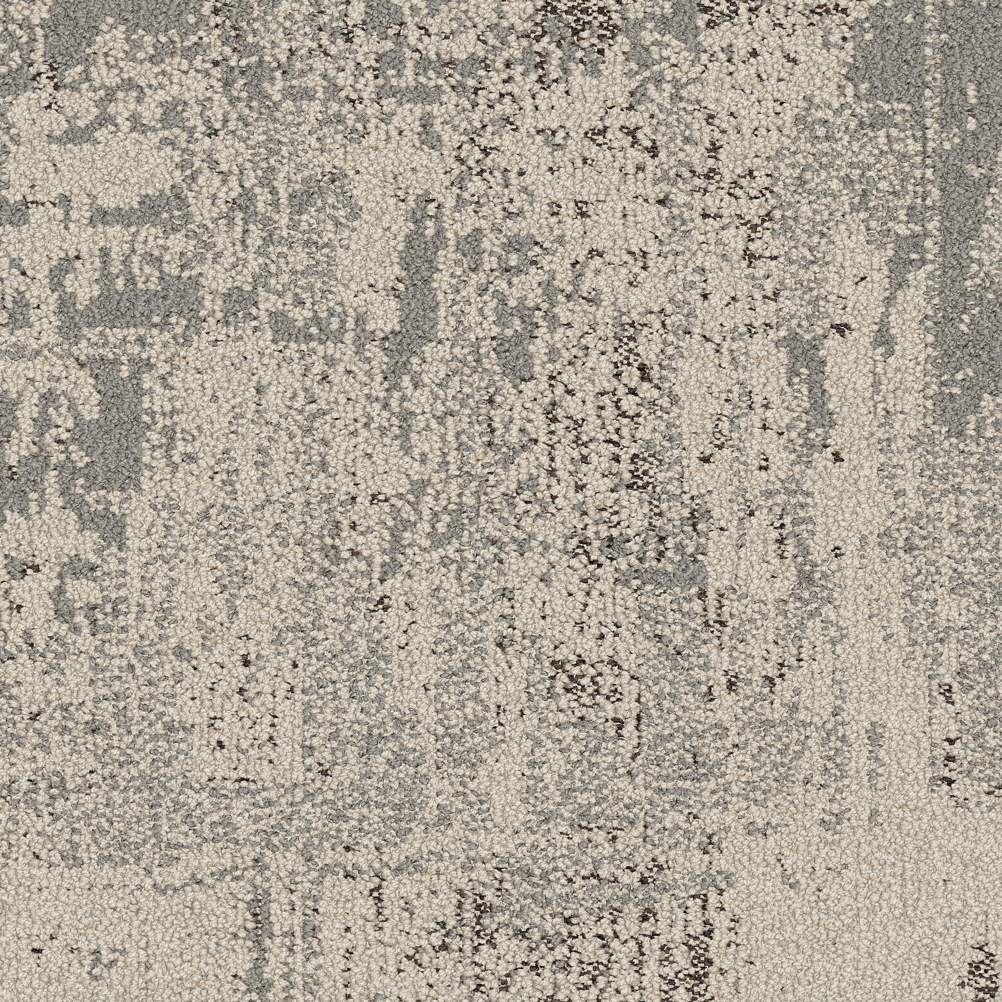 Archival 9949004 Parchment