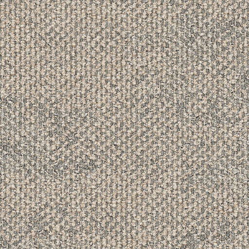 Dry Bark 2529001 Desert Neutral