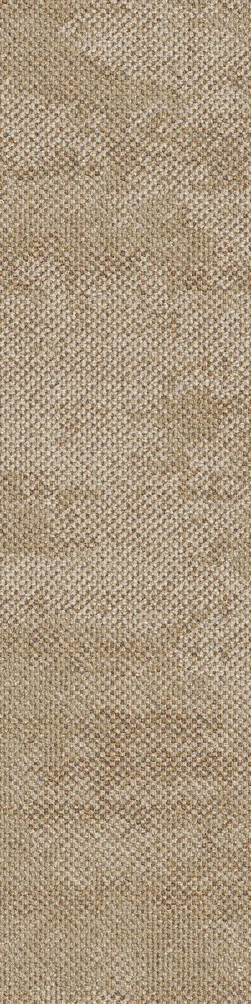 Interface - Dry Bark 2529003 Saltwater Neutral