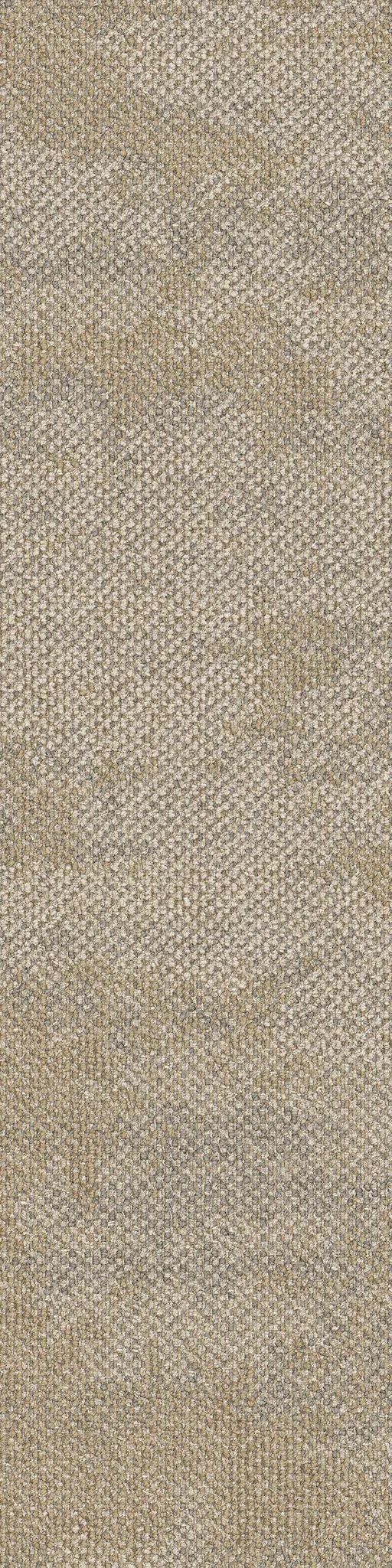 Interface - Dry Bark 2529004 Saltwater Depth