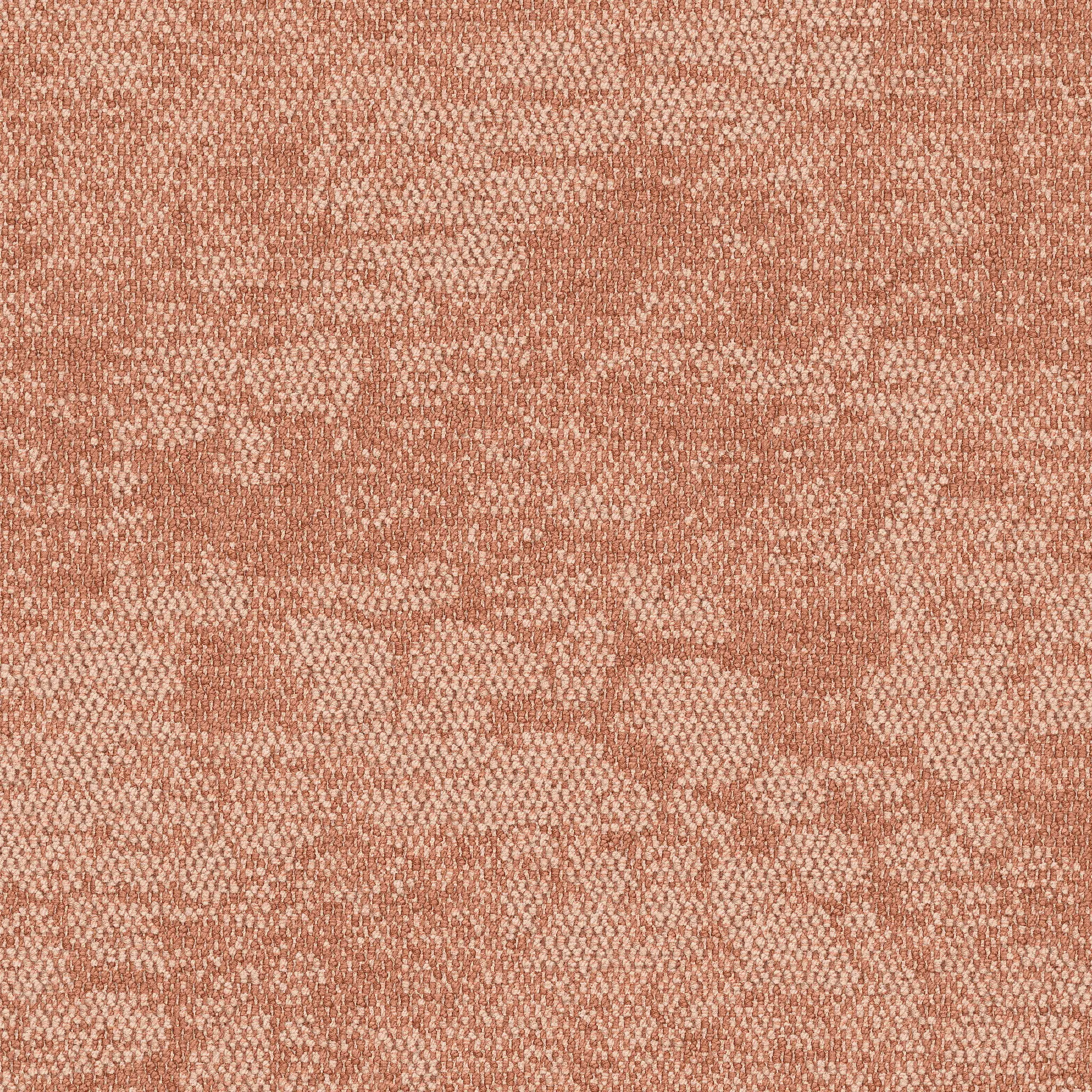 Interface - Escarpment 2525002 Desert Sands
