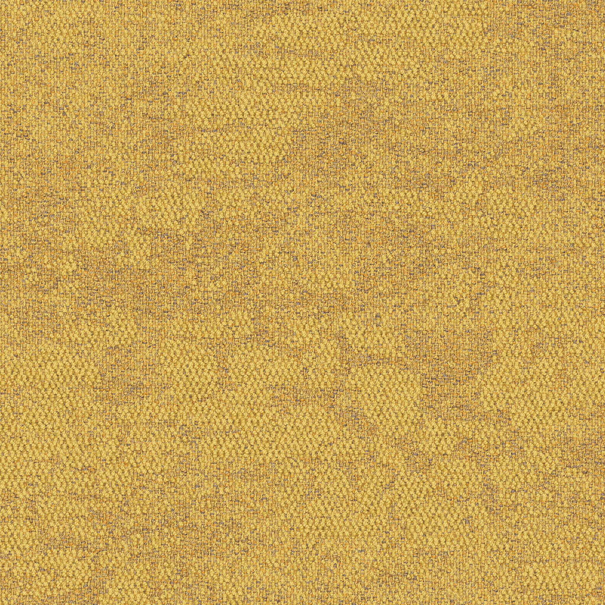 Display product Escarpment 2525008 Rainforest Canopy from manufacturer Interface