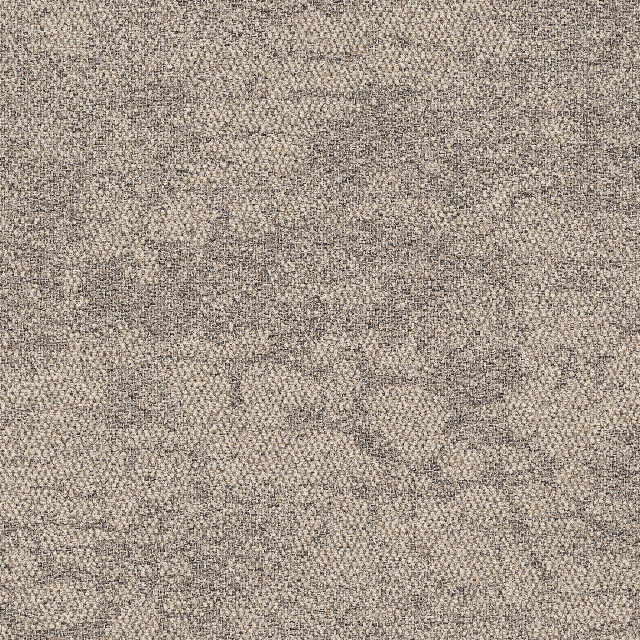 Escarpment 2525009 Rainforest Neutral