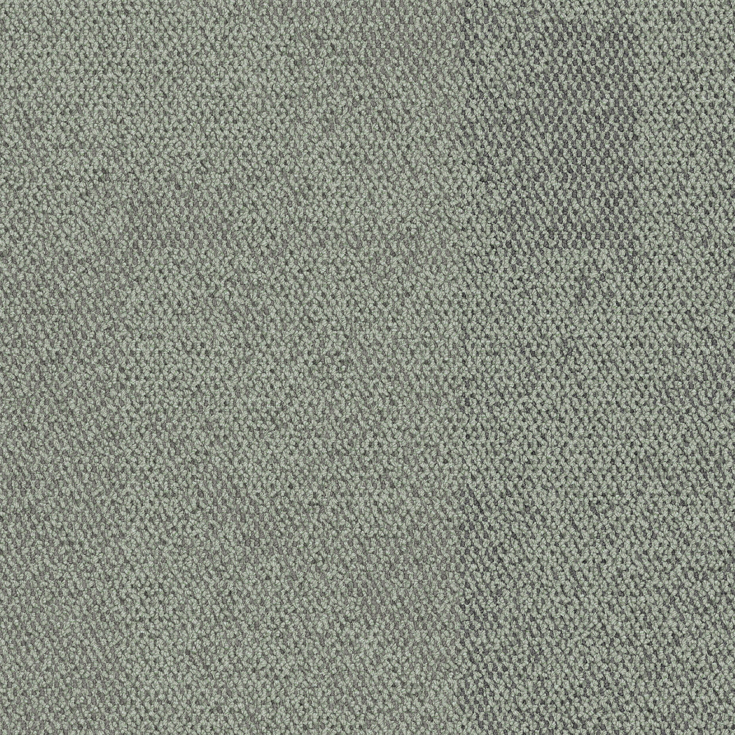 Paver
8337203 Forest