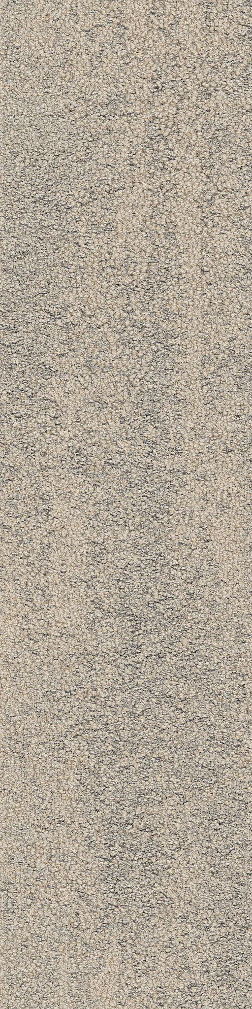 Interface - Sandbank 2528001 Desert