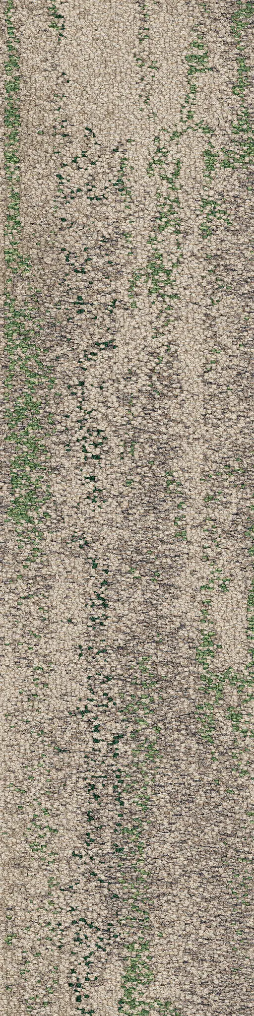 Interface - Shallows 2527003 Rainforest