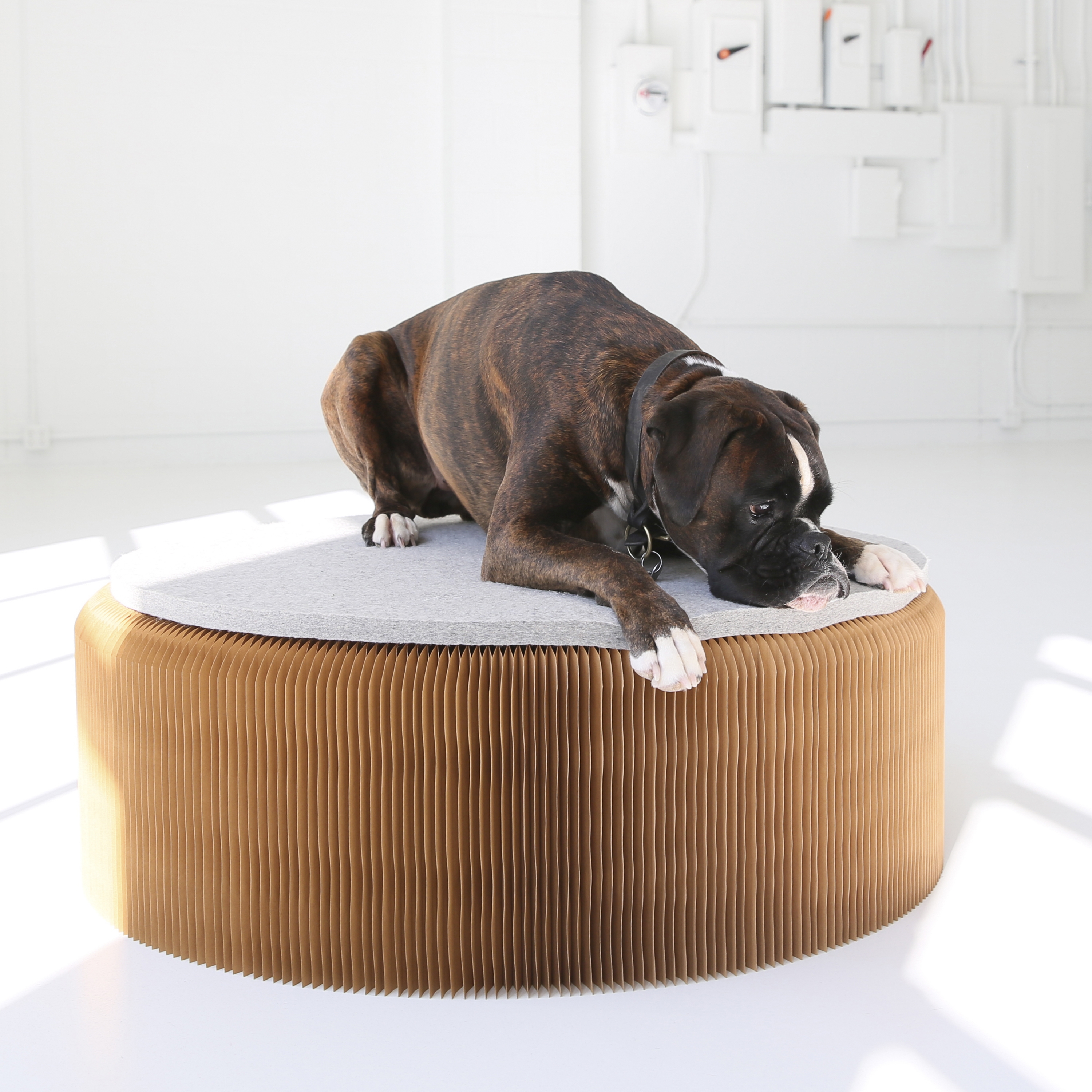 Produkt wool felt pad for softseating folding paper stool des Herstellers molo anzeigen