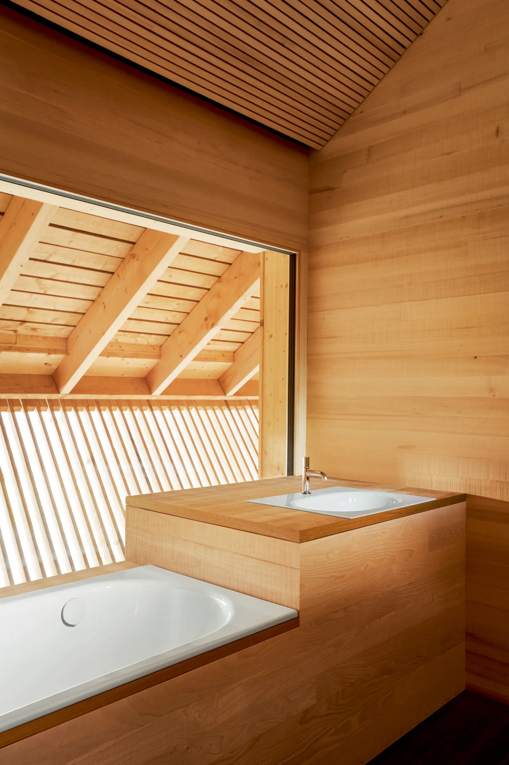 Bette - BetteComodo Counter Top Washbasin