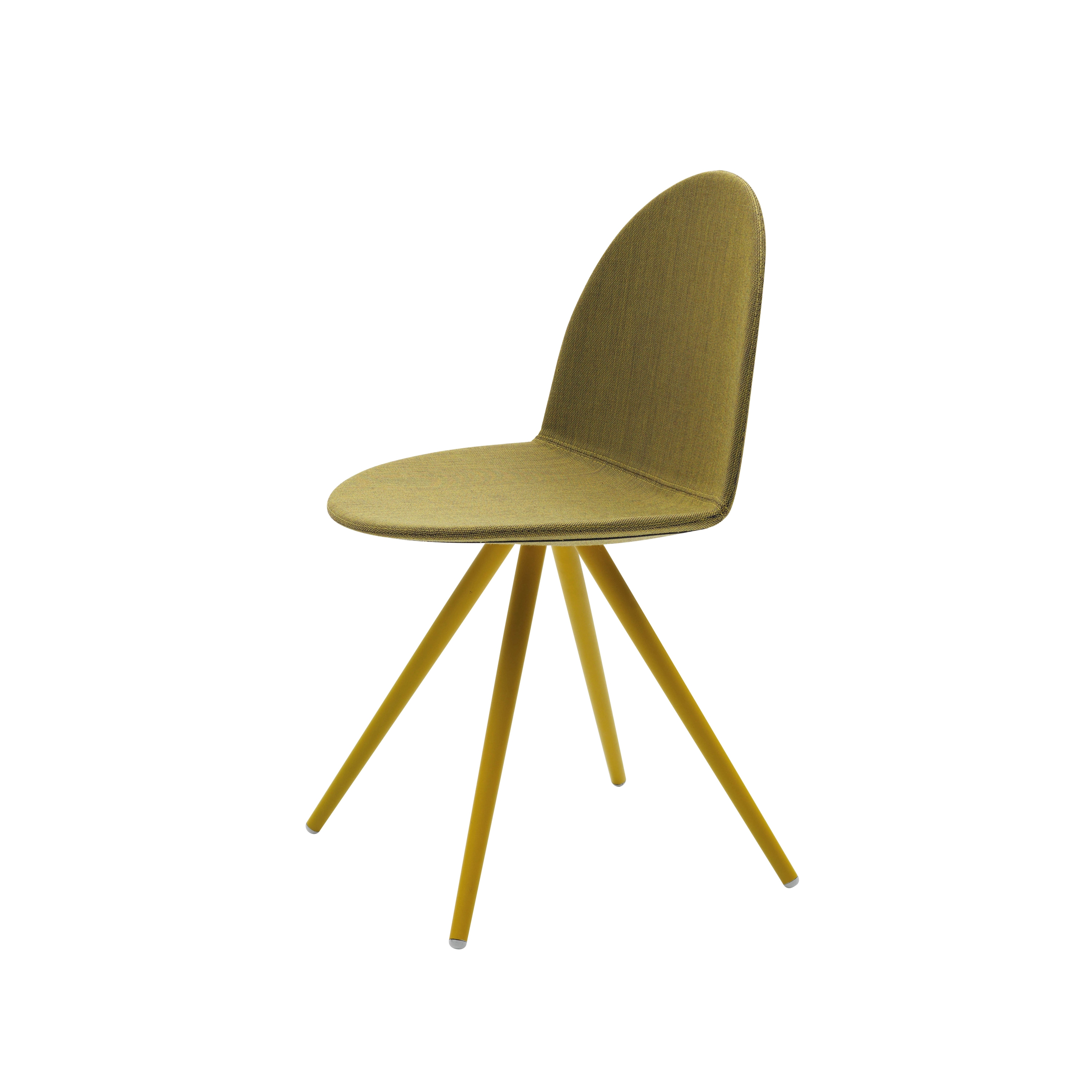 Display product Camel from manufacturer Segis