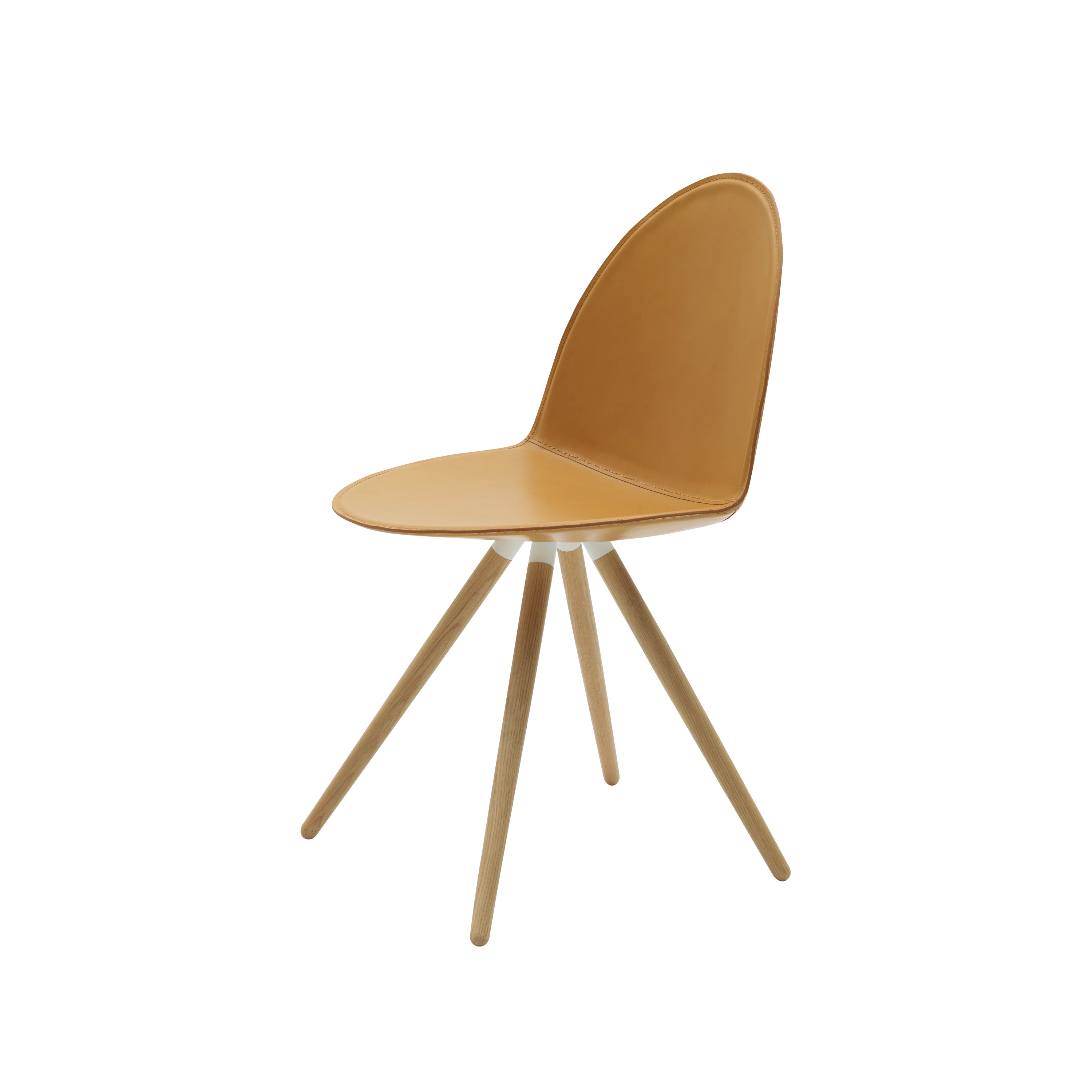 Display product Camel from manufacturer Segis
