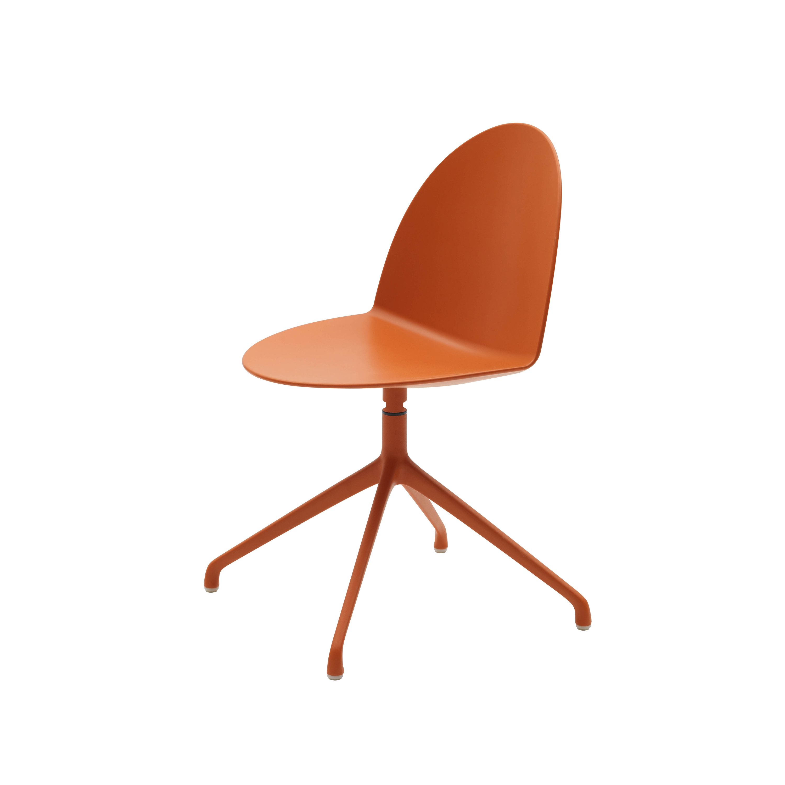 Display product Camel from manufacturer Segis