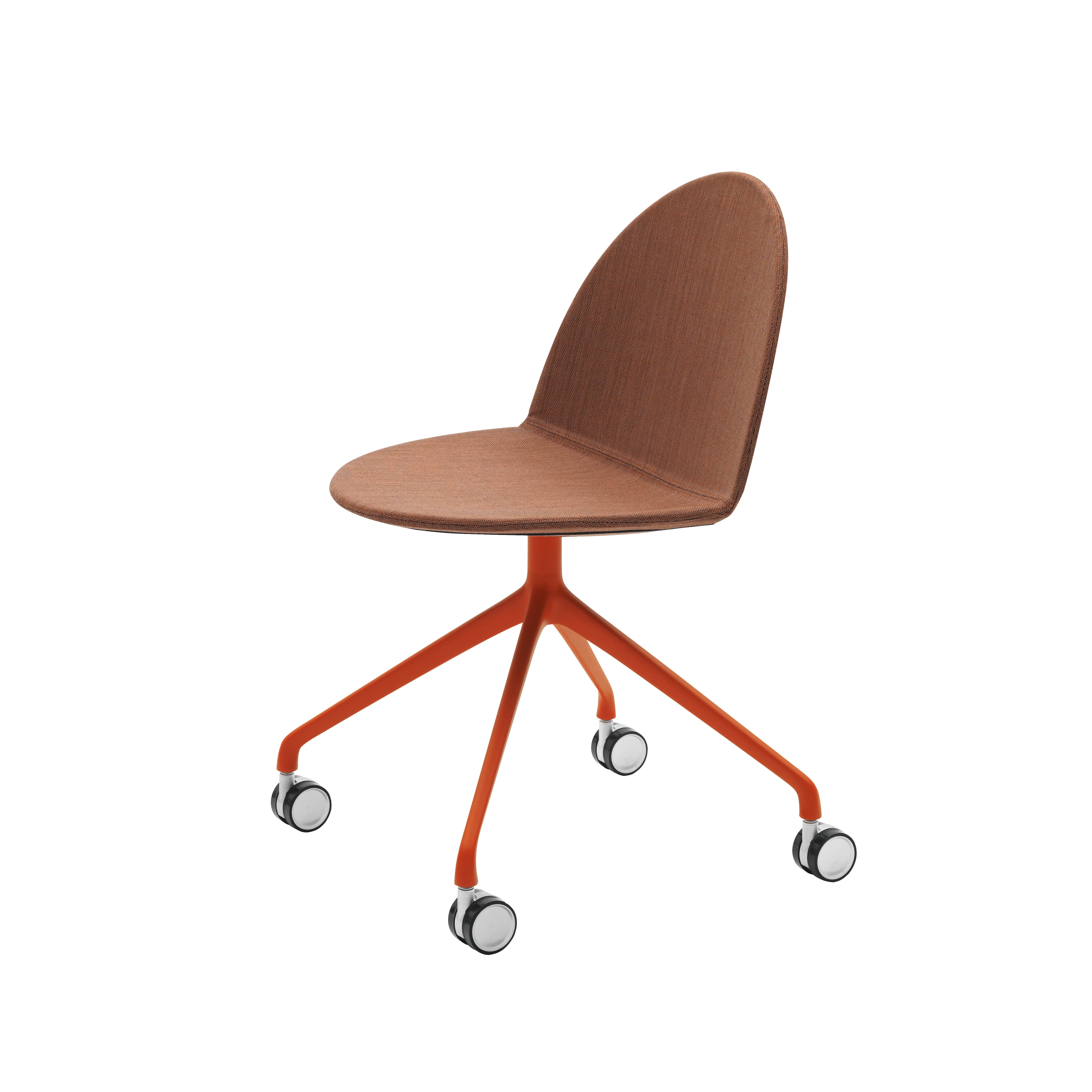 Display product Camel from manufacturer Segis