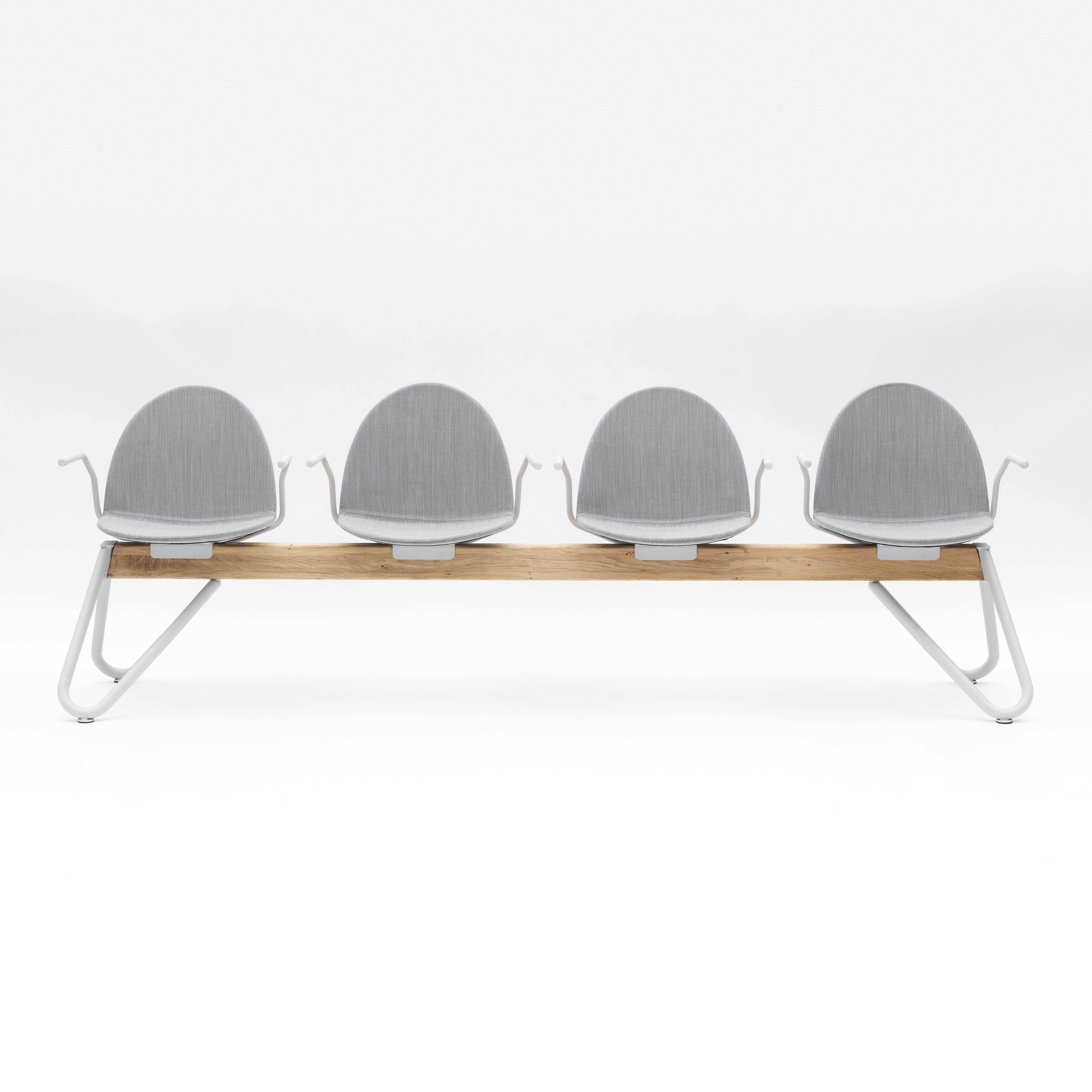 Display product Camel from manufacturer Segis