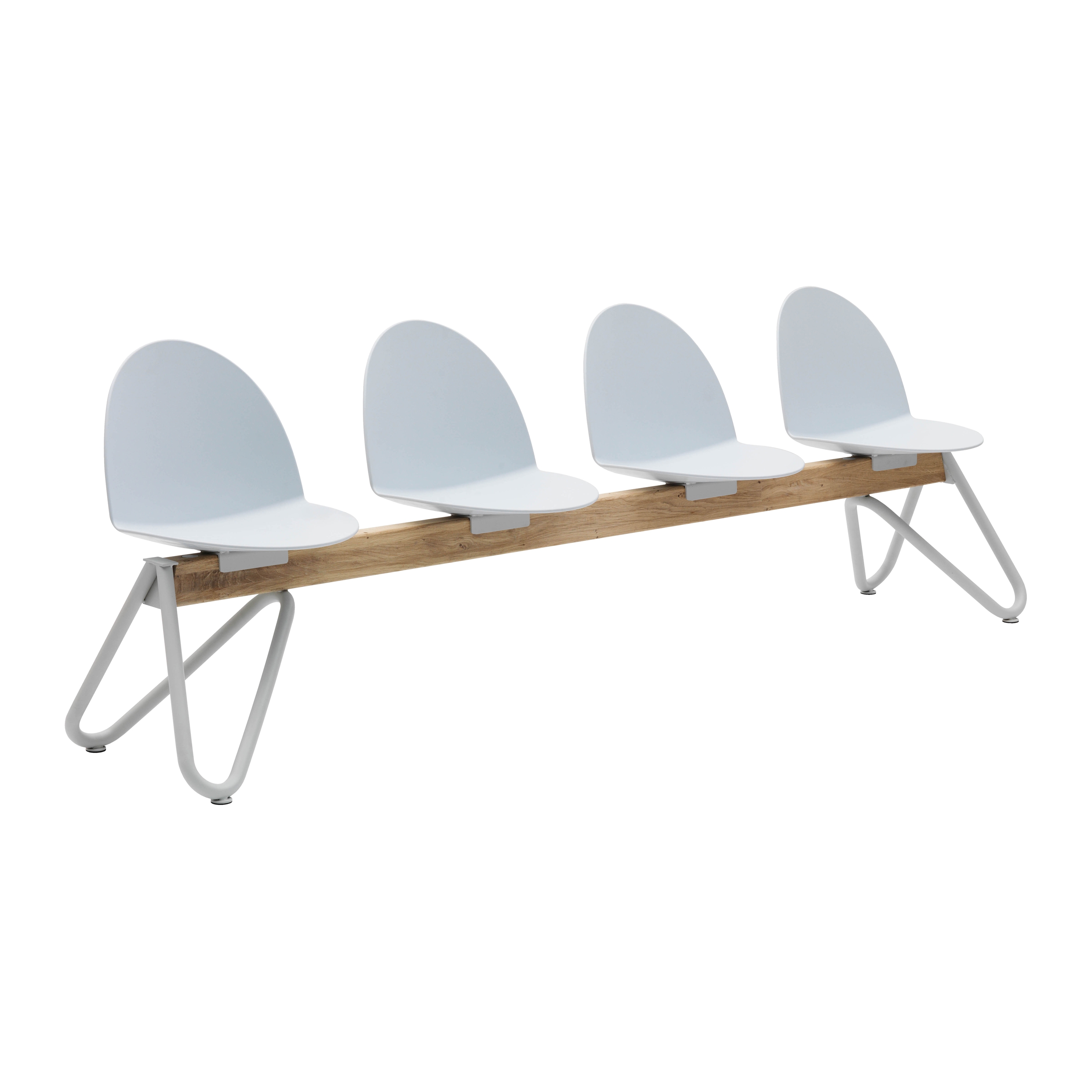 Display product Camel from manufacturer Segis