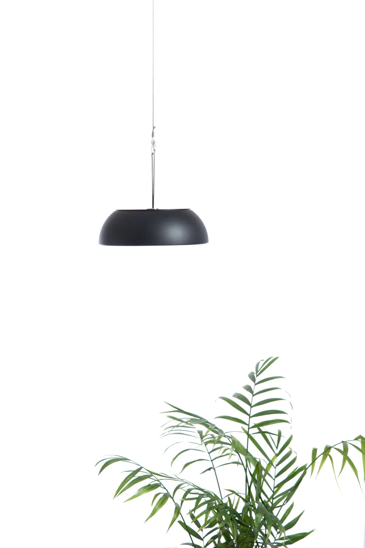 Axolight - Float AP Black Black