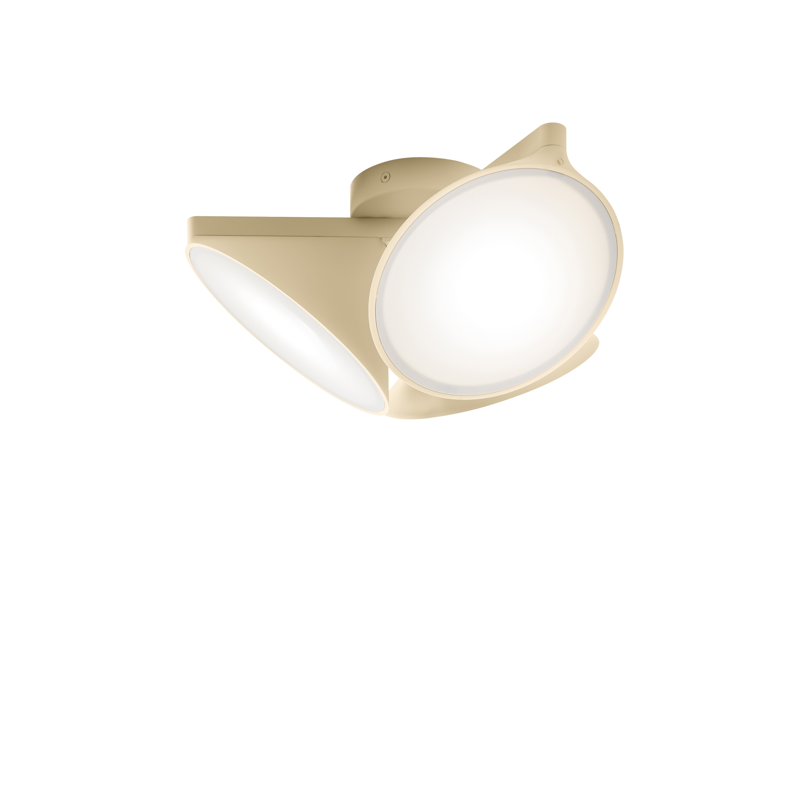 Orchid ceiling lamp