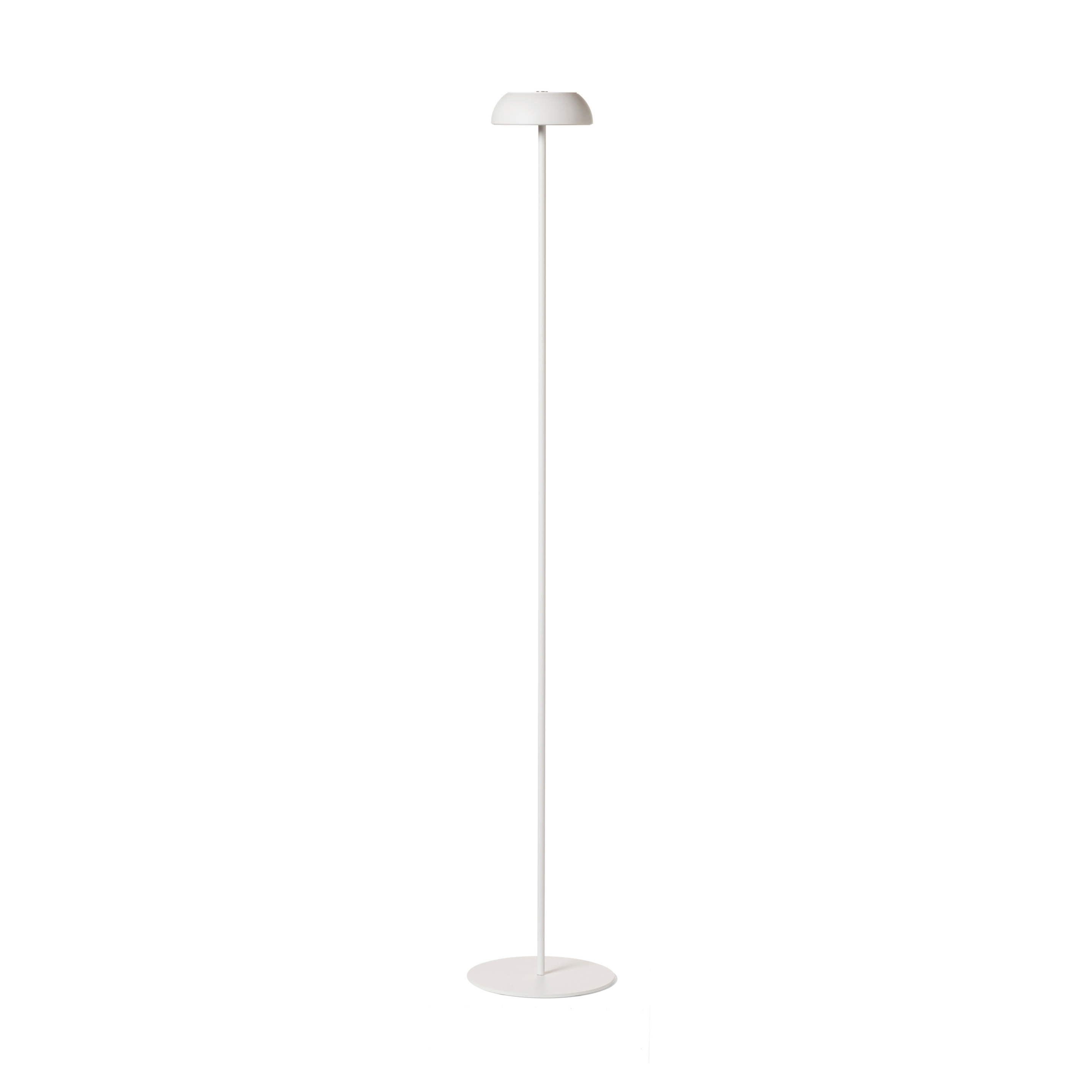 Float PT White White
