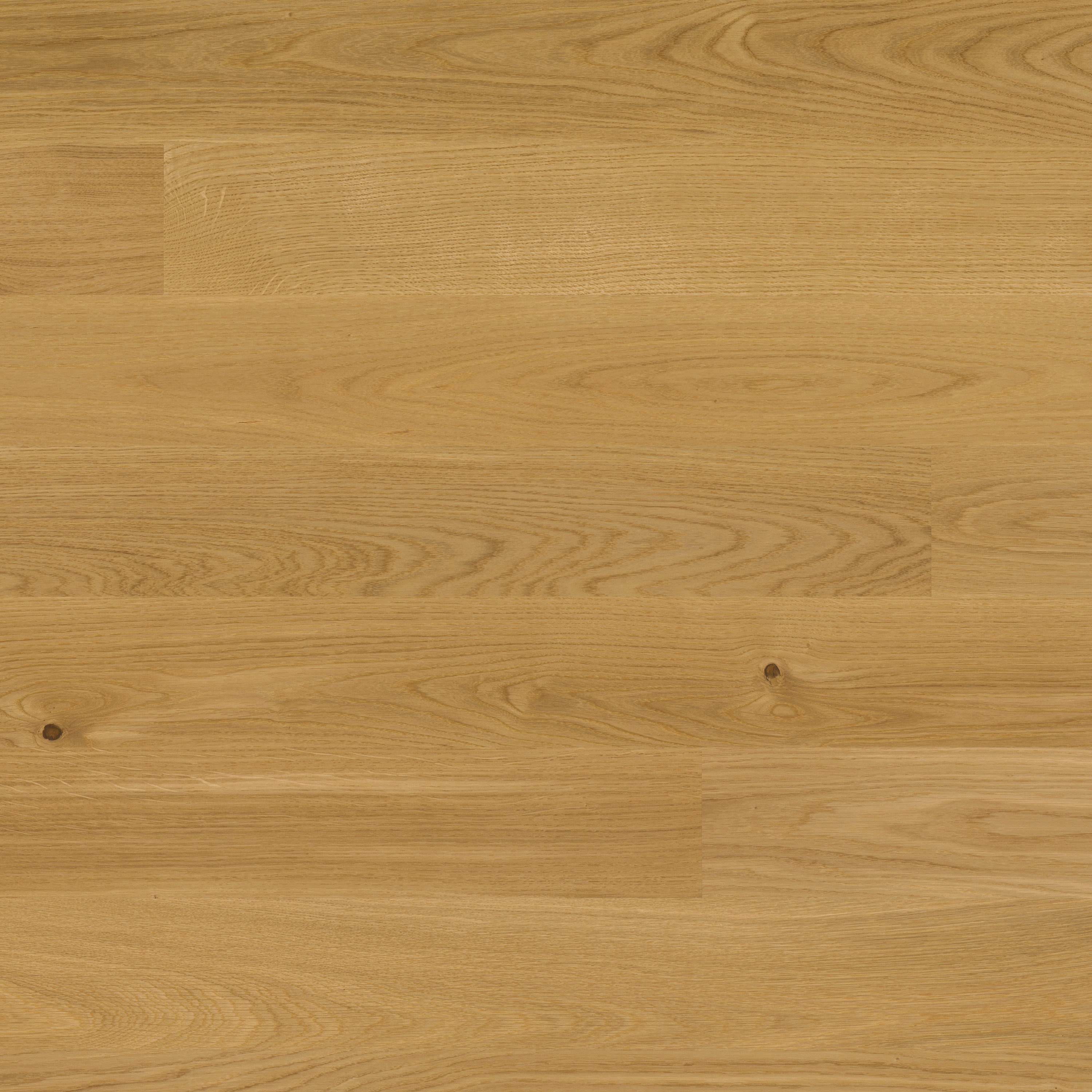 Display product Trendpark Oak 14 from manufacturer Bauwerk Parkett