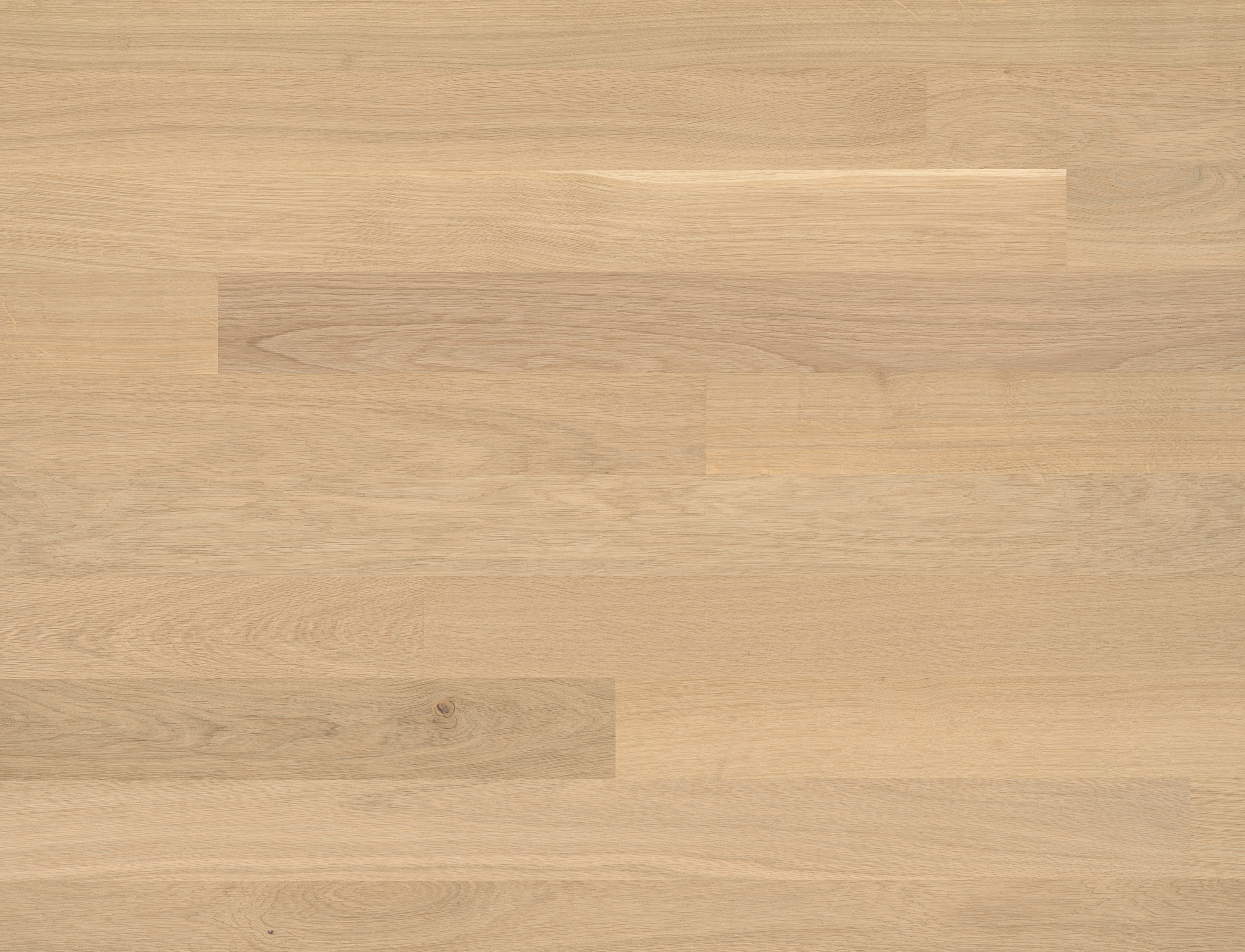Display product Cleverpark Oak Crema 14 from manufacturer Bauwerk Parkett