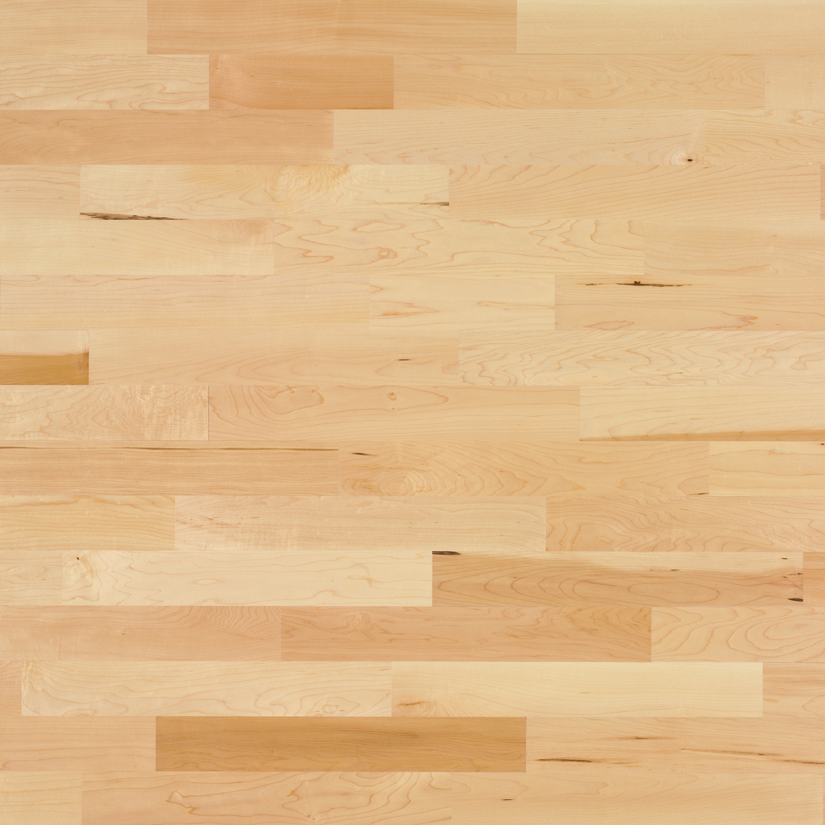 Mostra il prodotto Monopark Acero canadese 15 del produttore Bauwerk Parkett