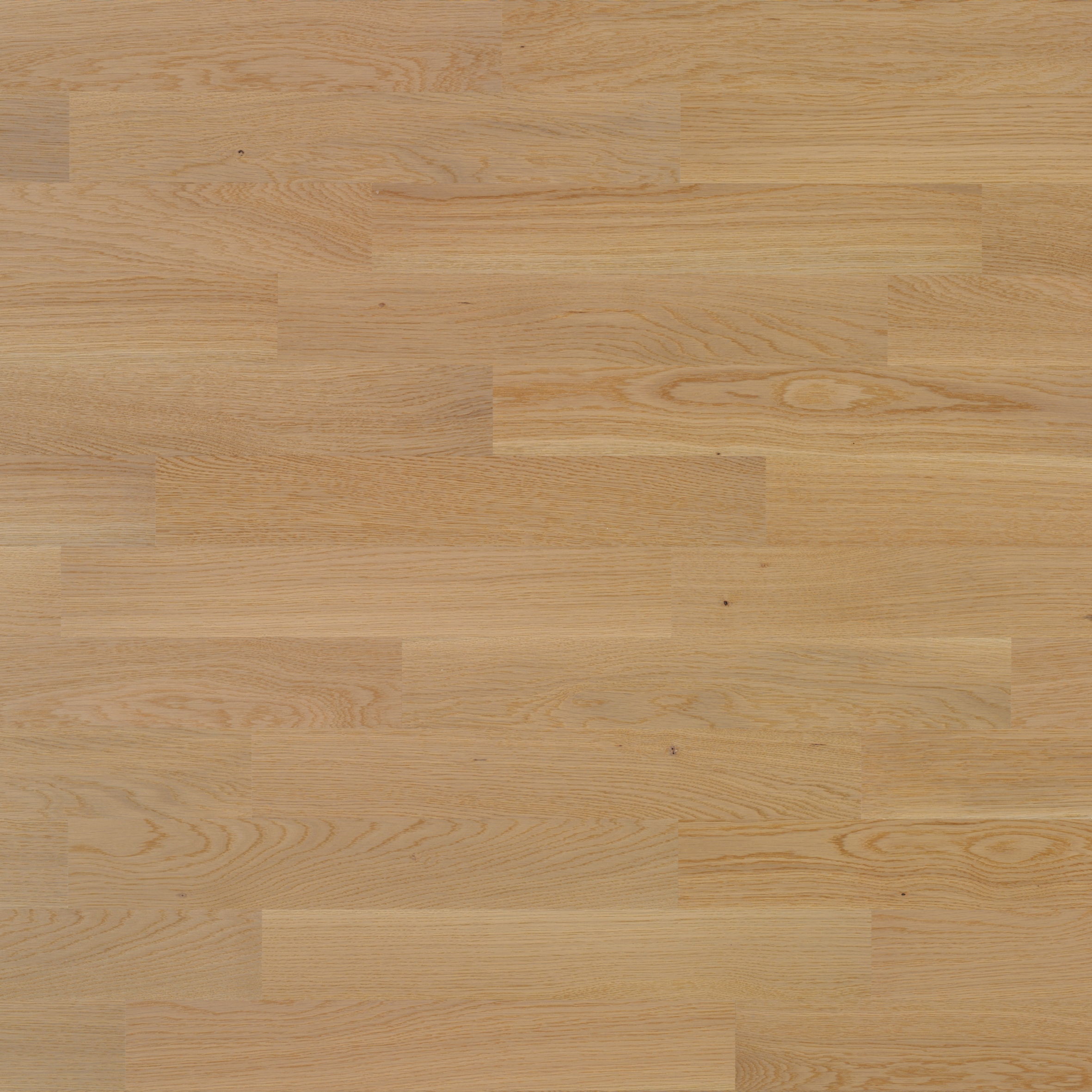 Display product Monopark Oak Caffelatte 15 from manufacturer Bauwerk Parkett