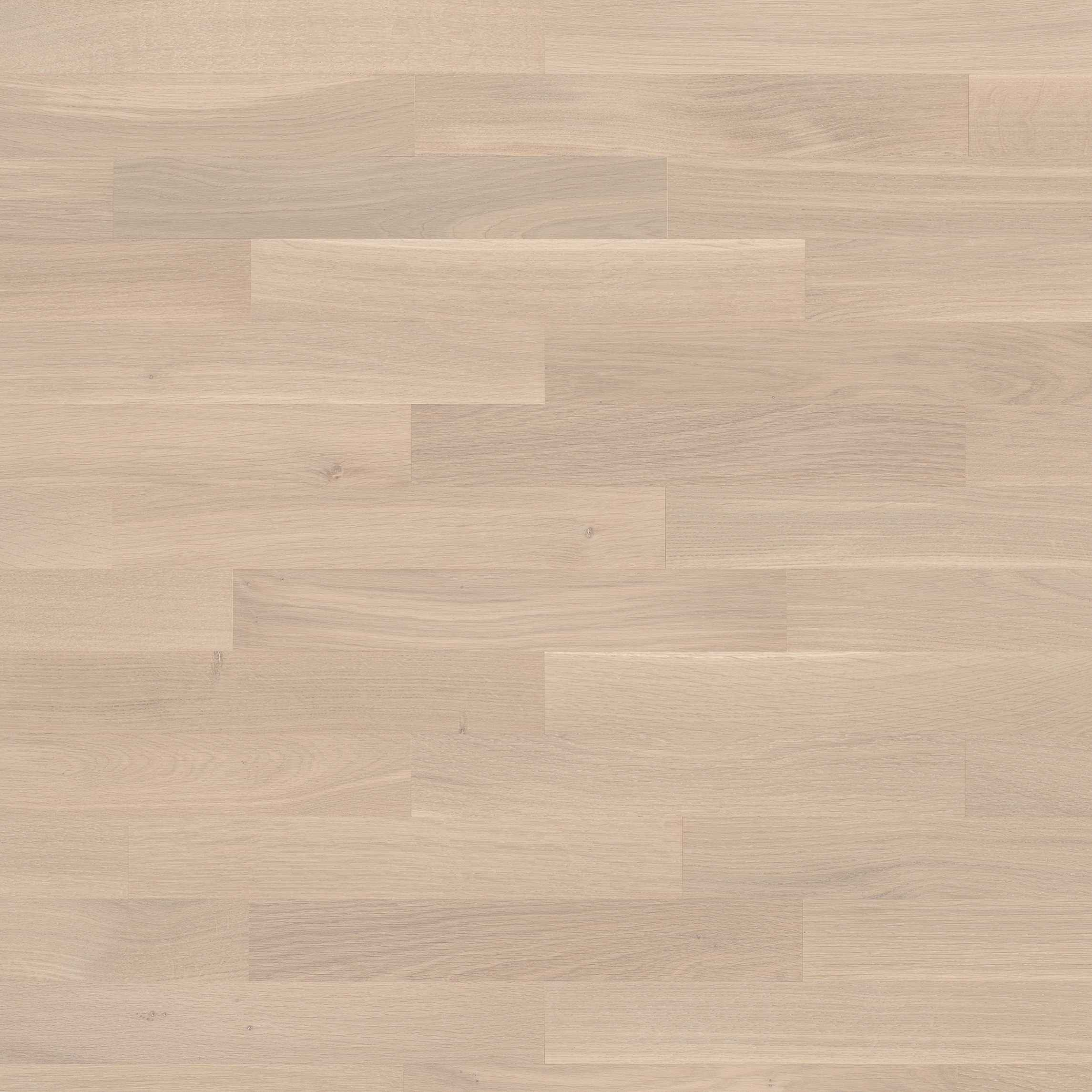 Display product Monopark Oak Farina 15 from manufacturer Bauwerk Parkett