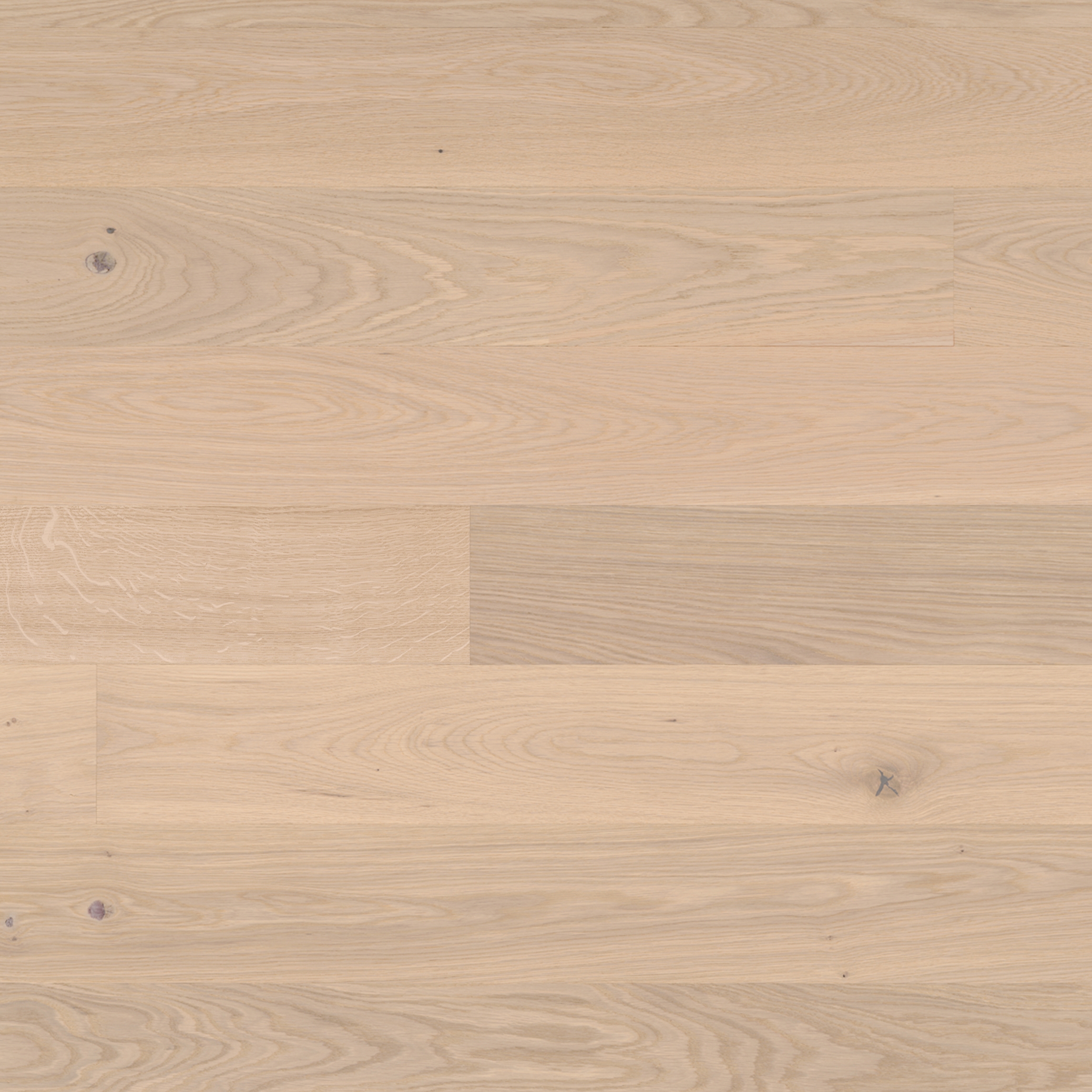 Produkt Trendpark Eiche Farina 14 des Herstellers Bauwerk Parkett anzeigen